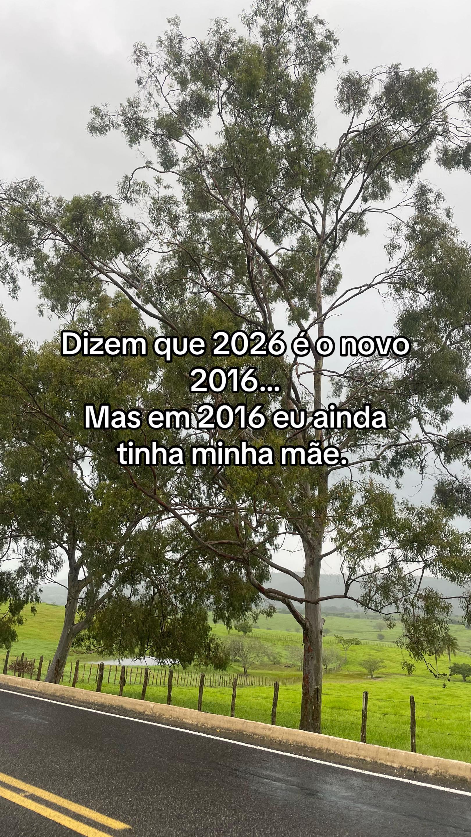 @leidaiannecavalcanti_9