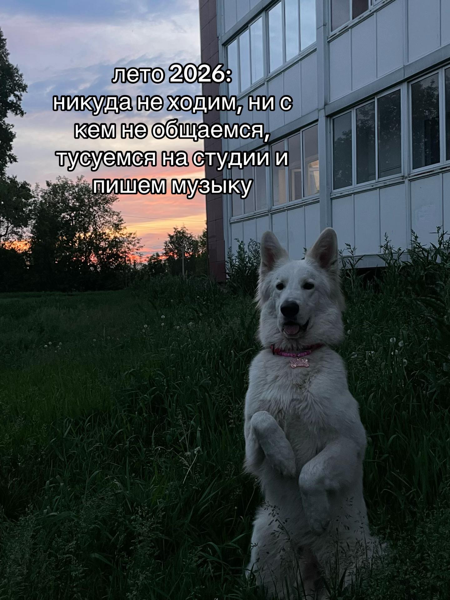 @🎀ASYA🎀 &🐶KADZU🐶