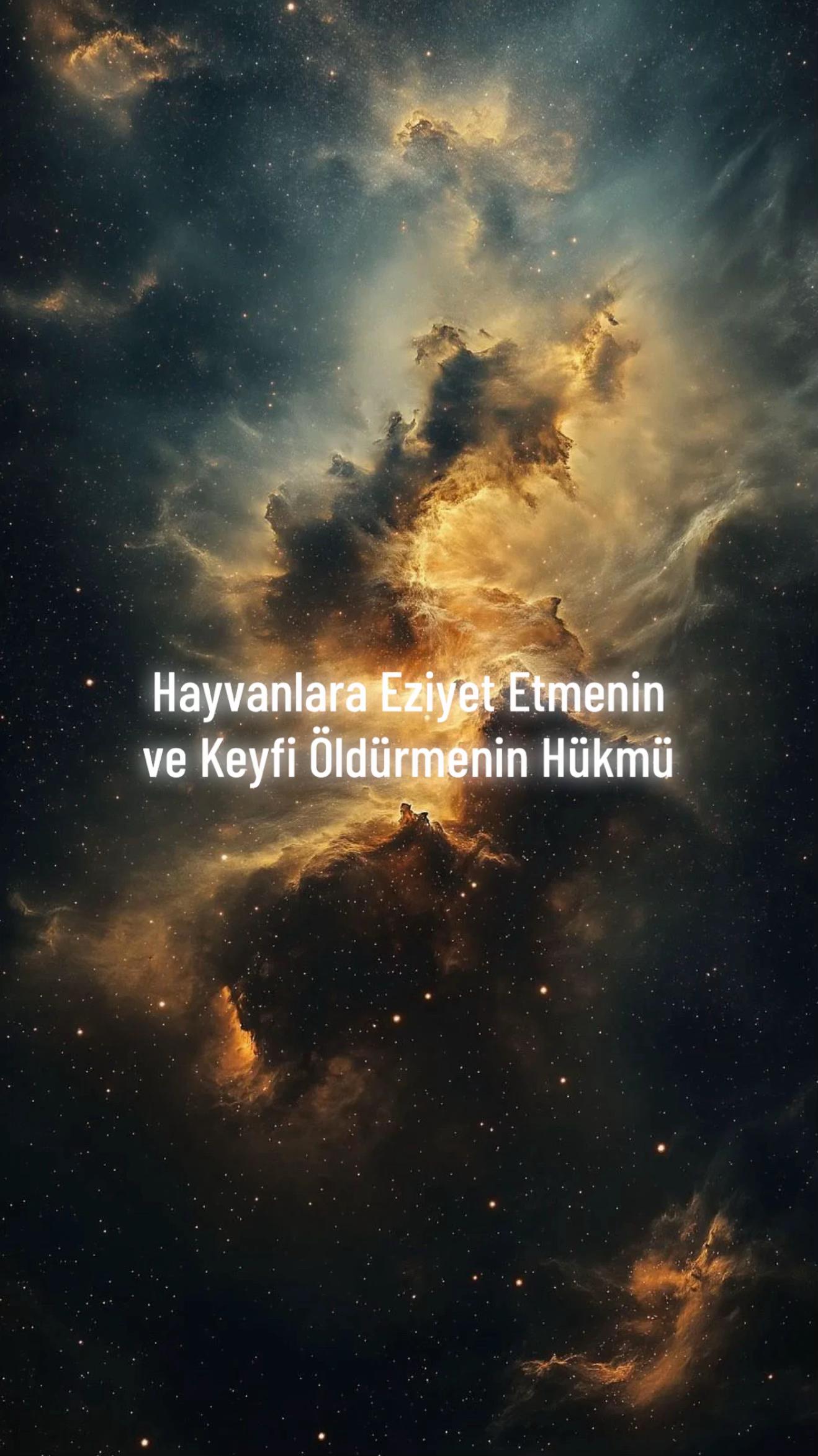 @TEVHİD_GENCİ