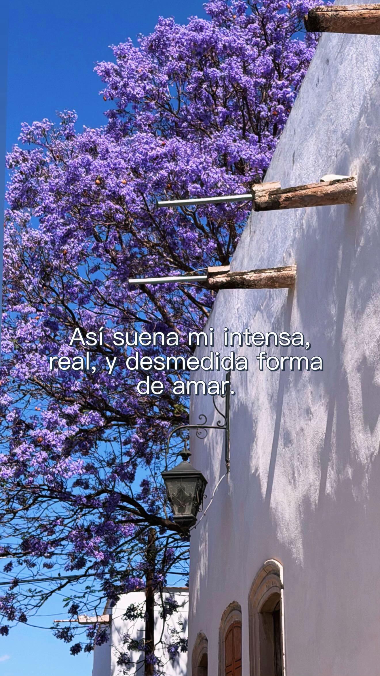 @dianasaucedoib