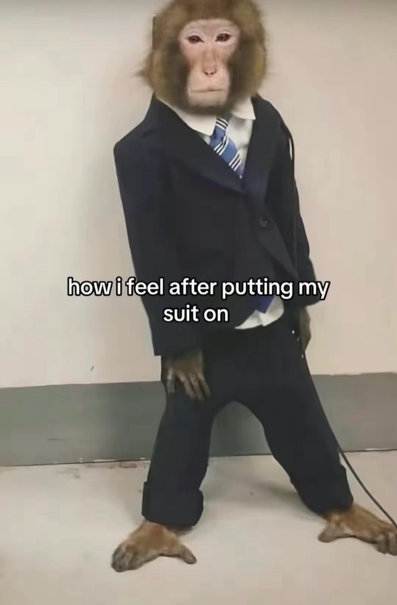 @Levi