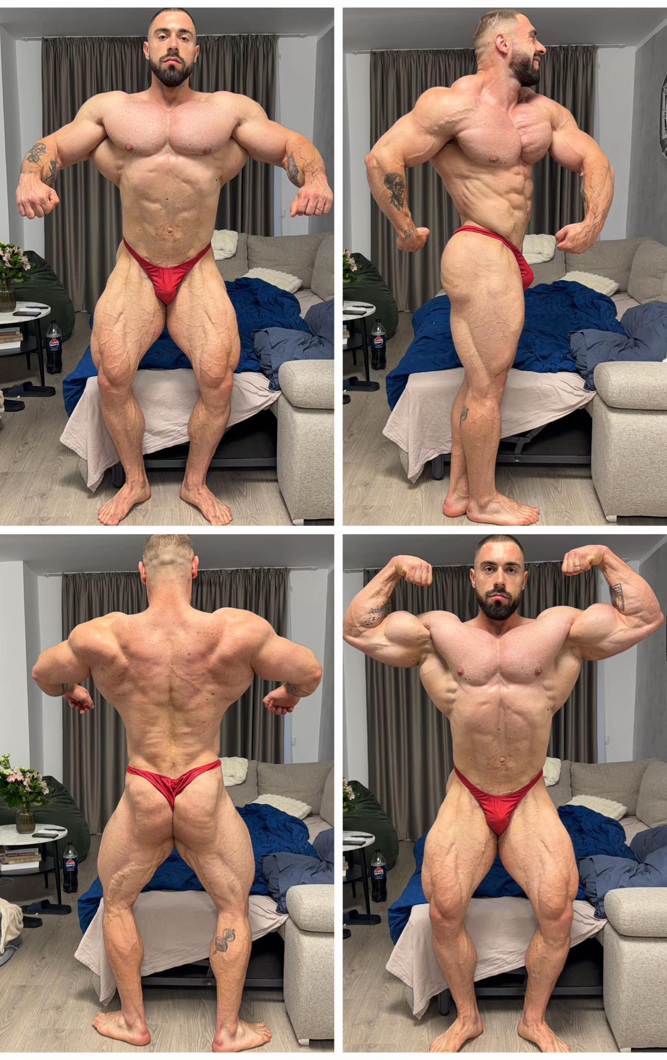 @mihaiharda