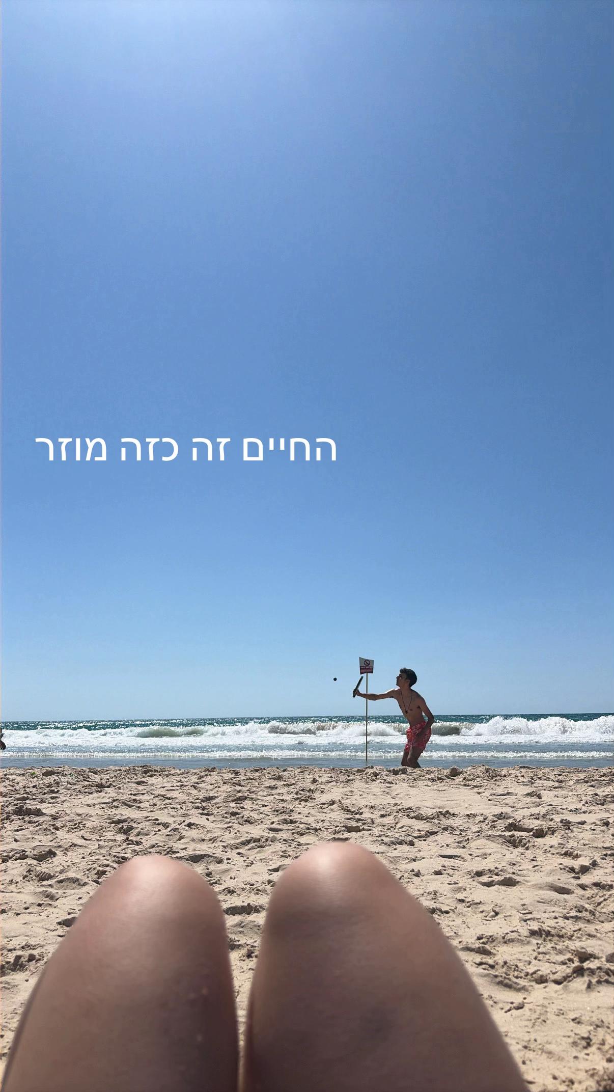 @shaked