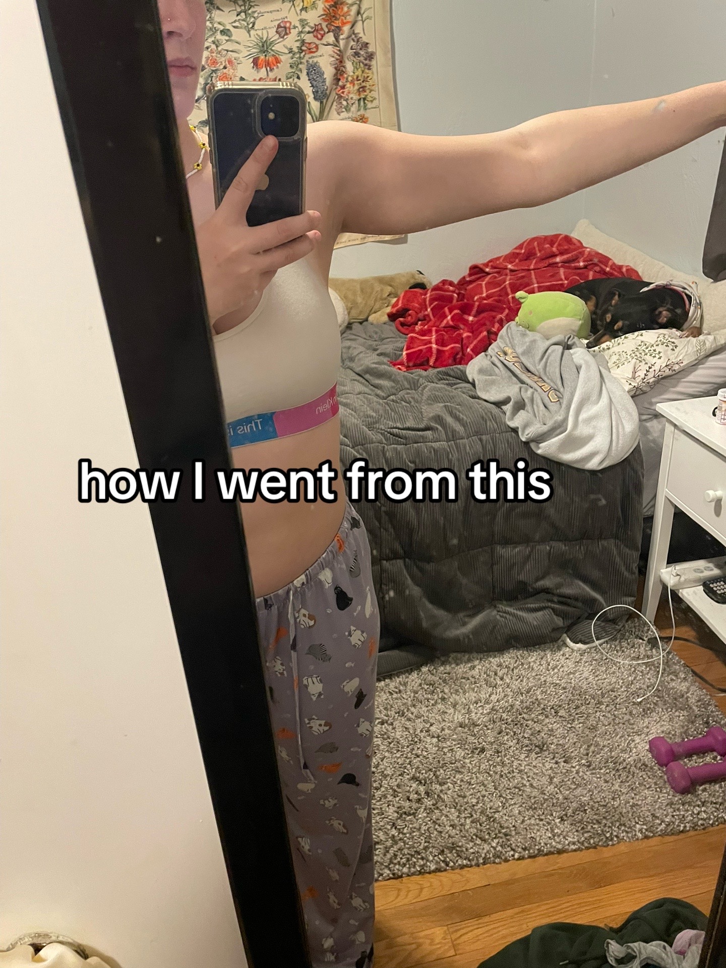 @sophia