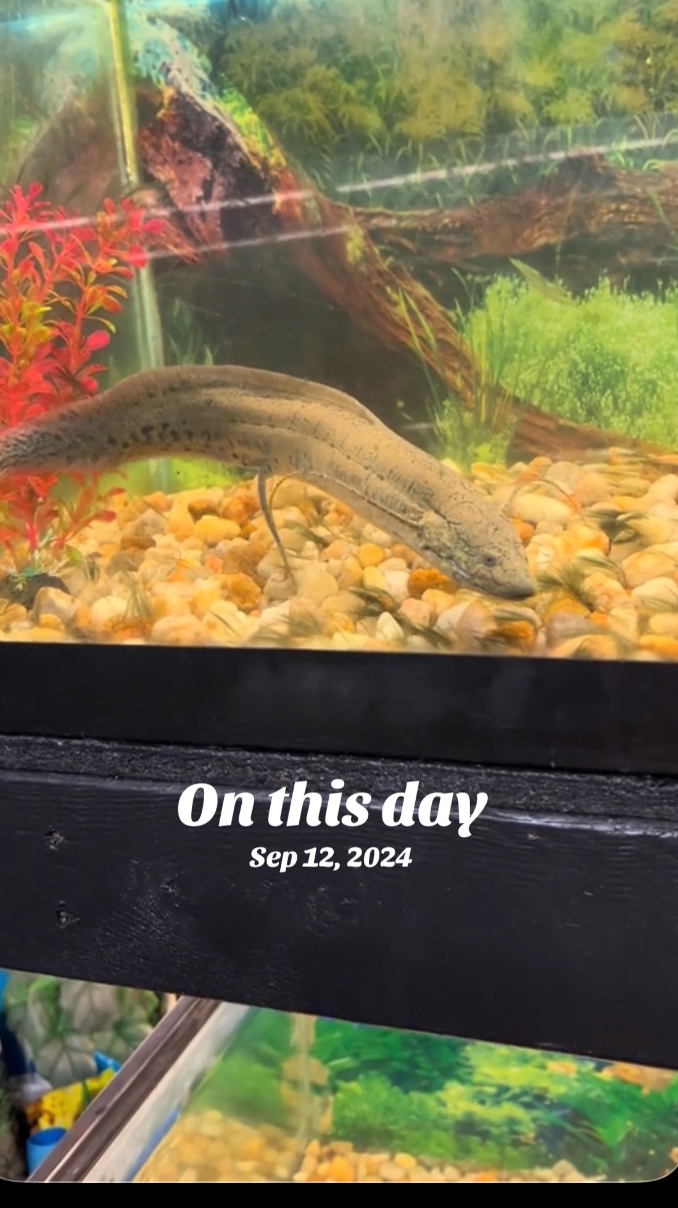 @fishdaddy2002