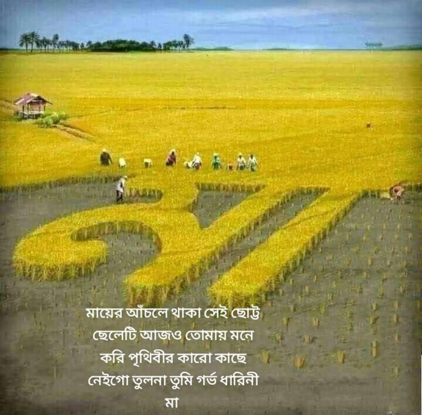 @monir