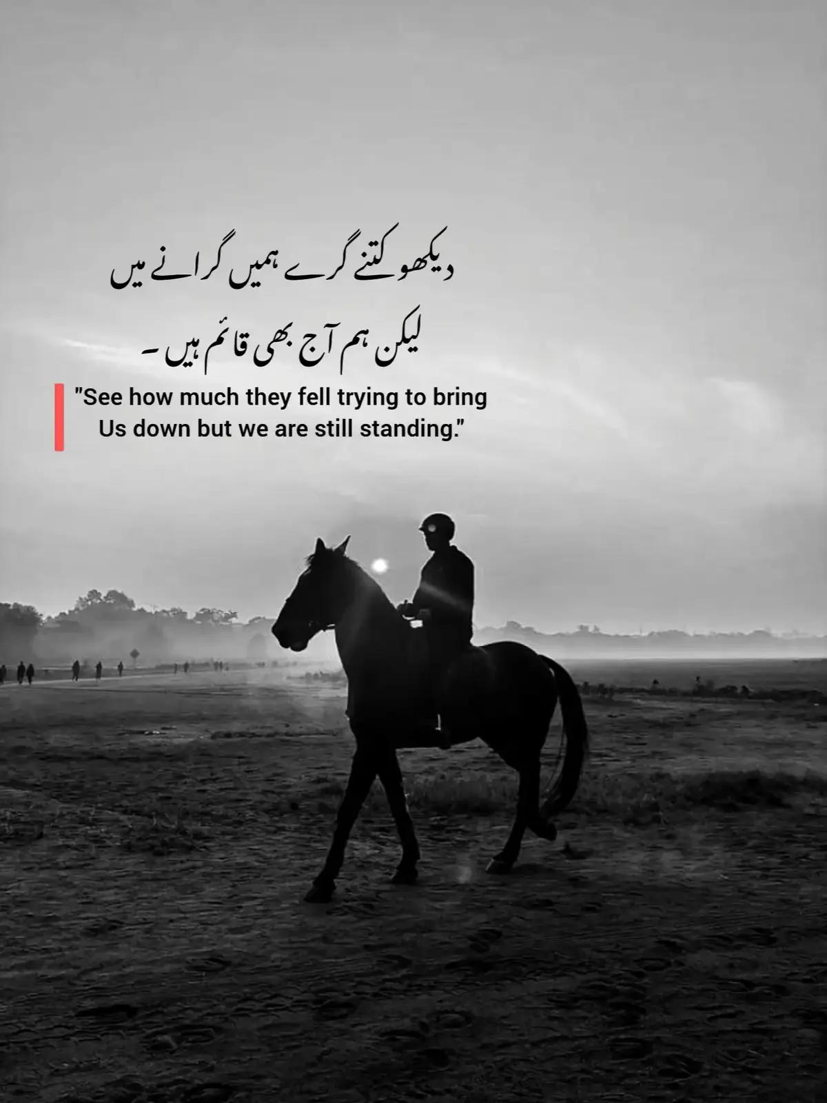 @Z.بٹ🔥🤝🏻