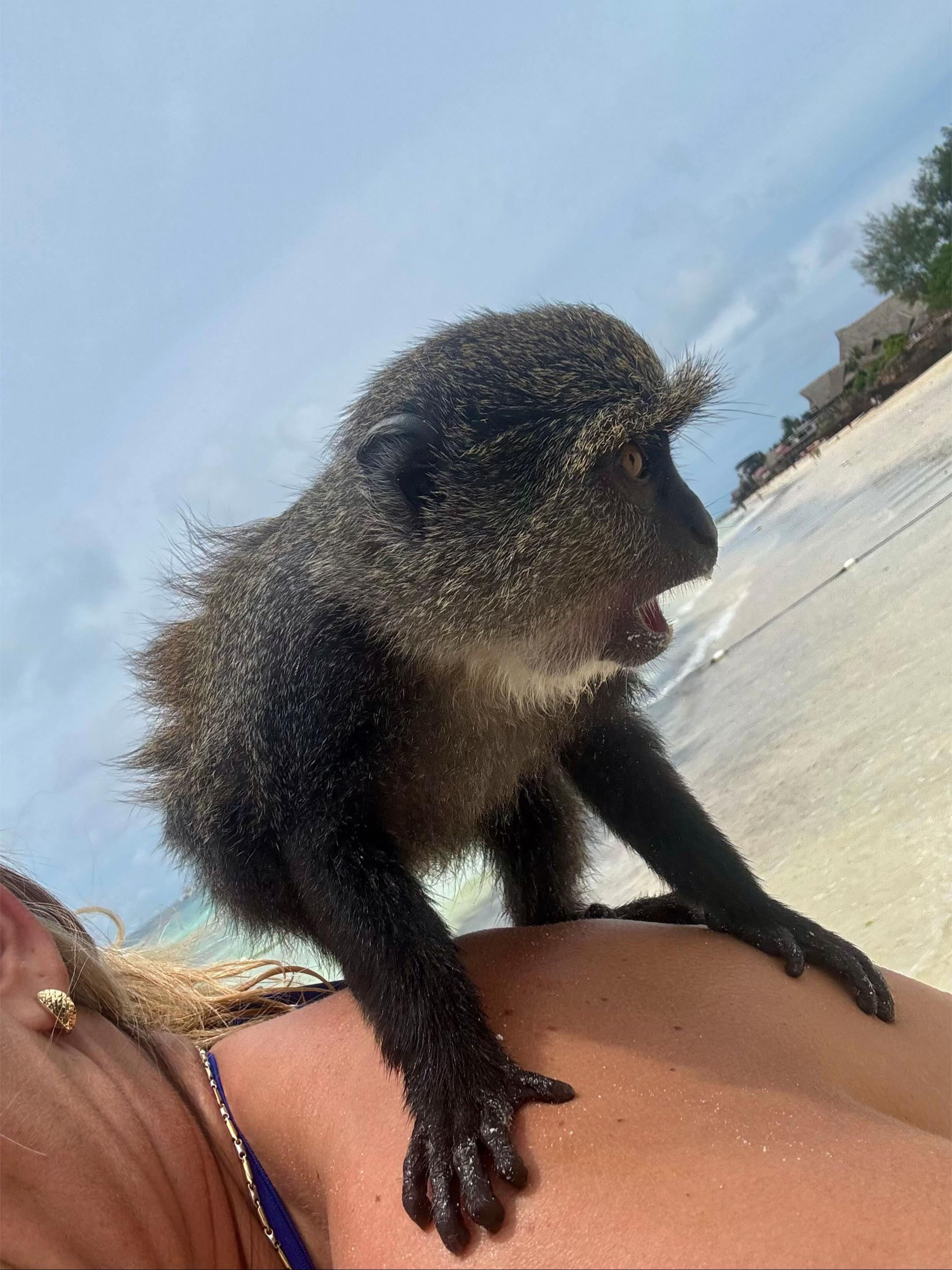 @Prissz🤪🥳