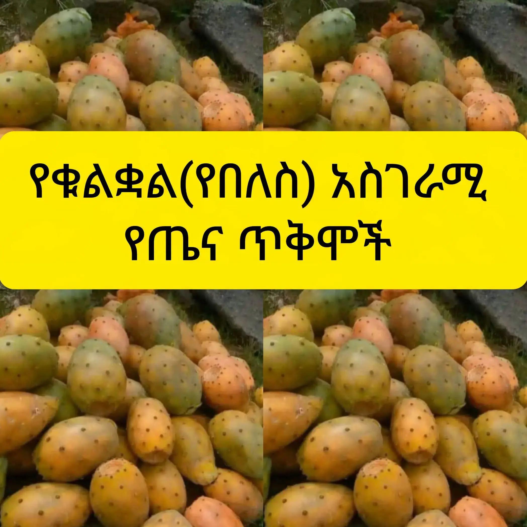 @S media/ኤስ ሚድያ
