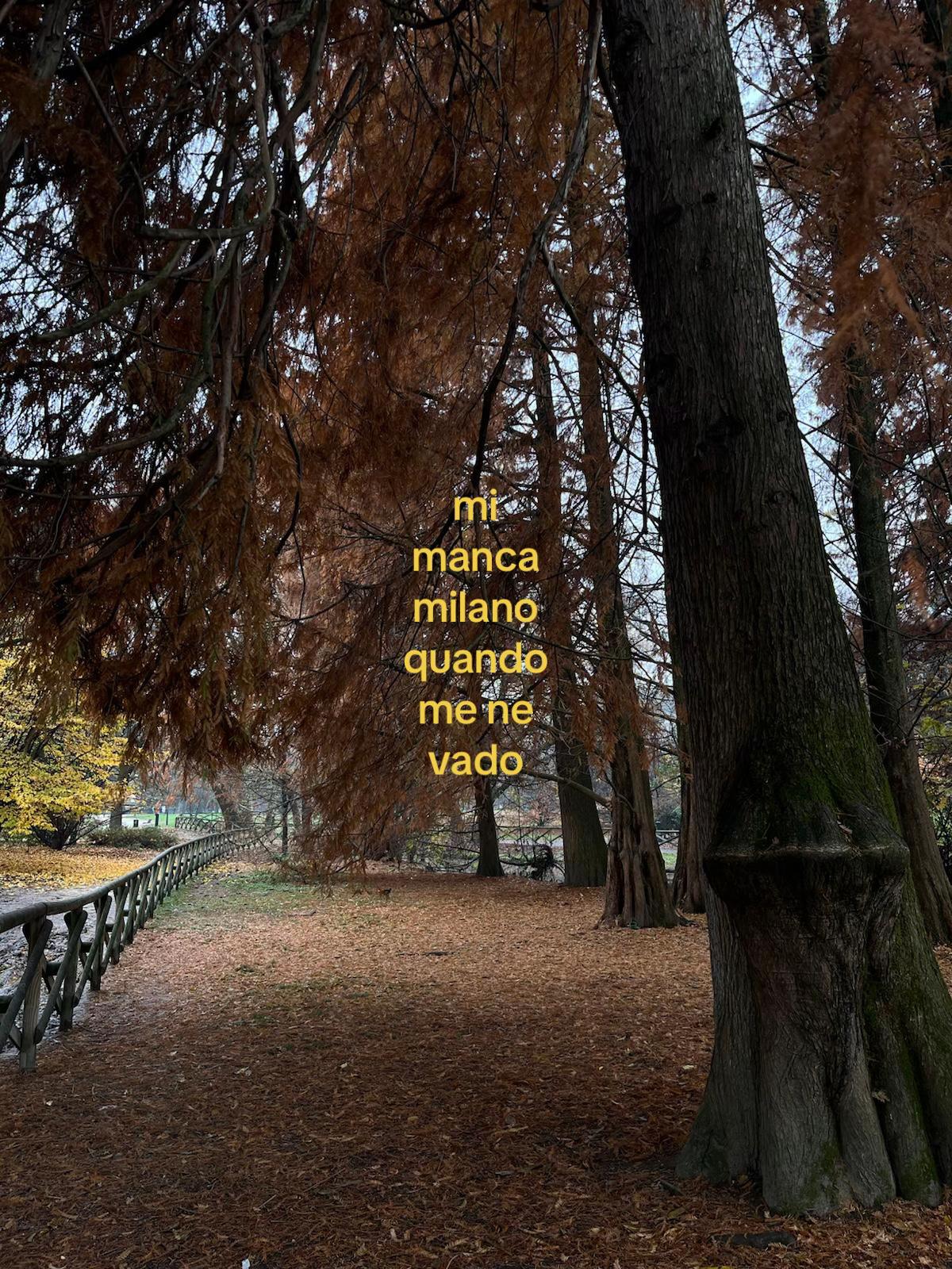 @utentenontrovato