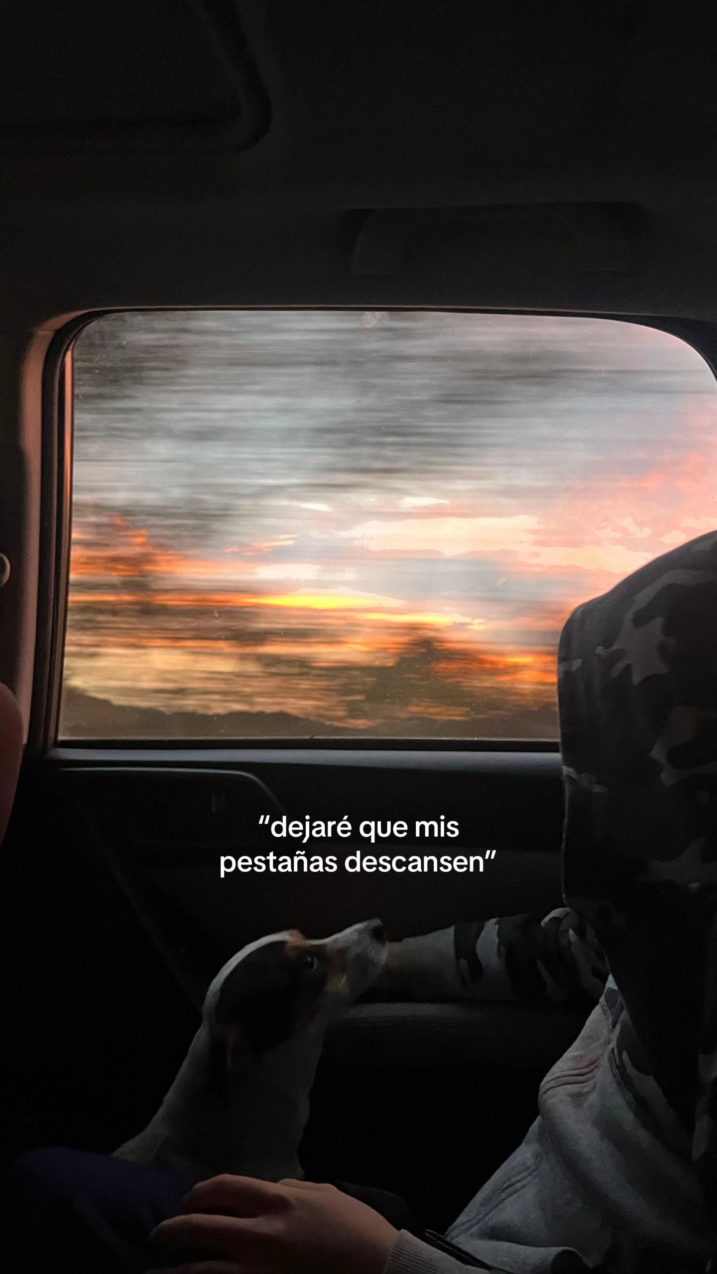 @miau
