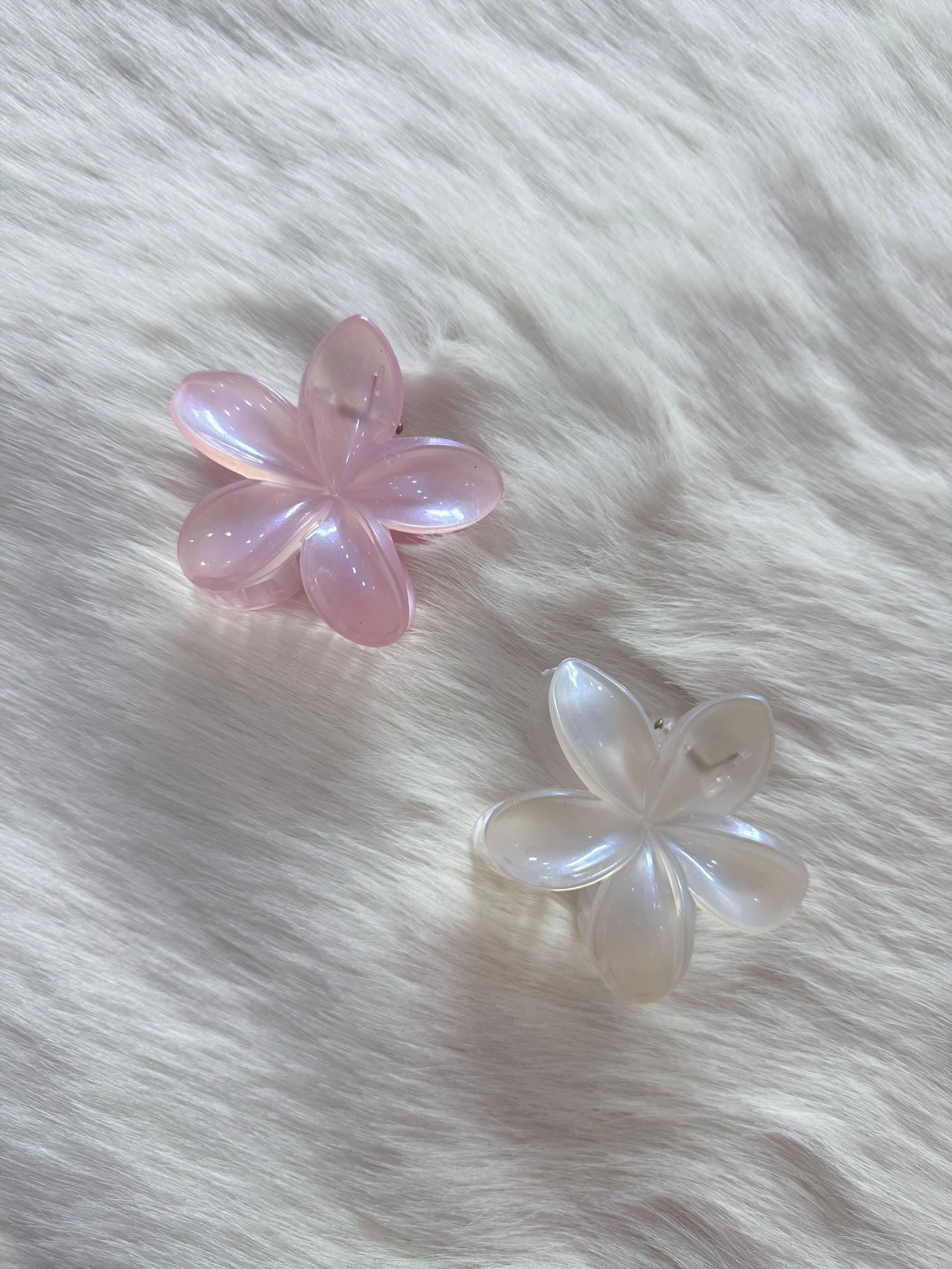 @Tiny Treasures
