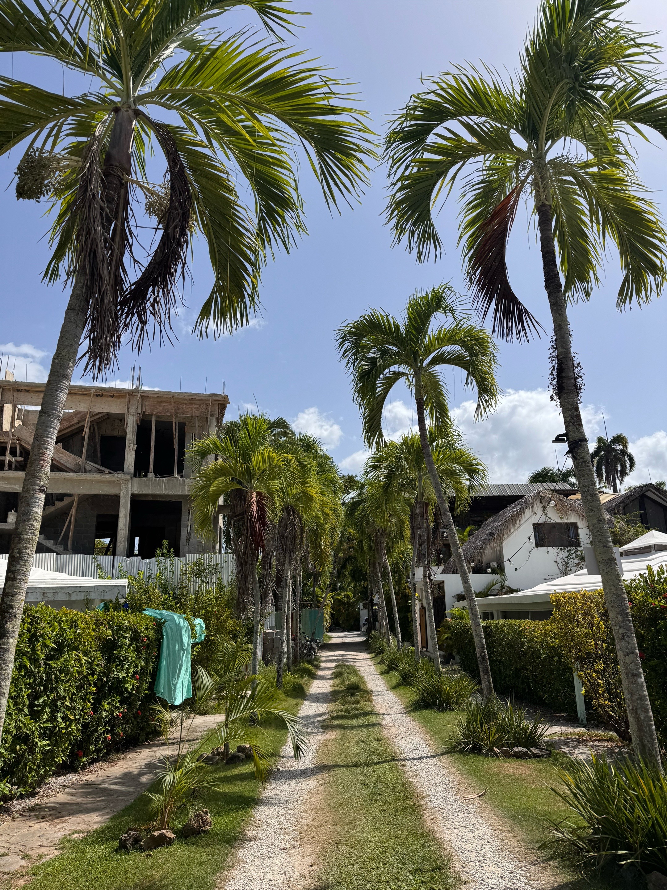@quoitree