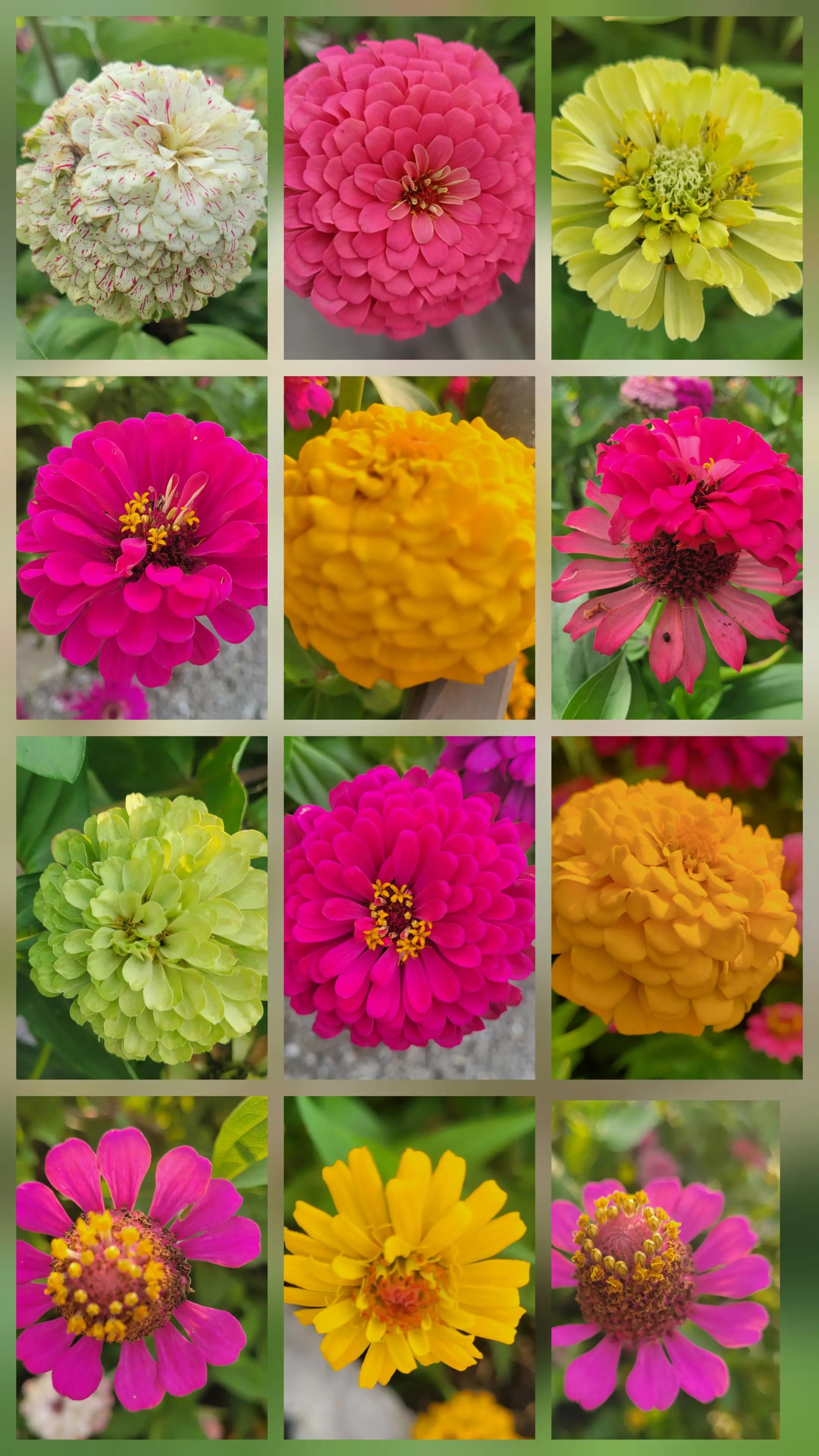 @TheNakedPlantLadyLLC