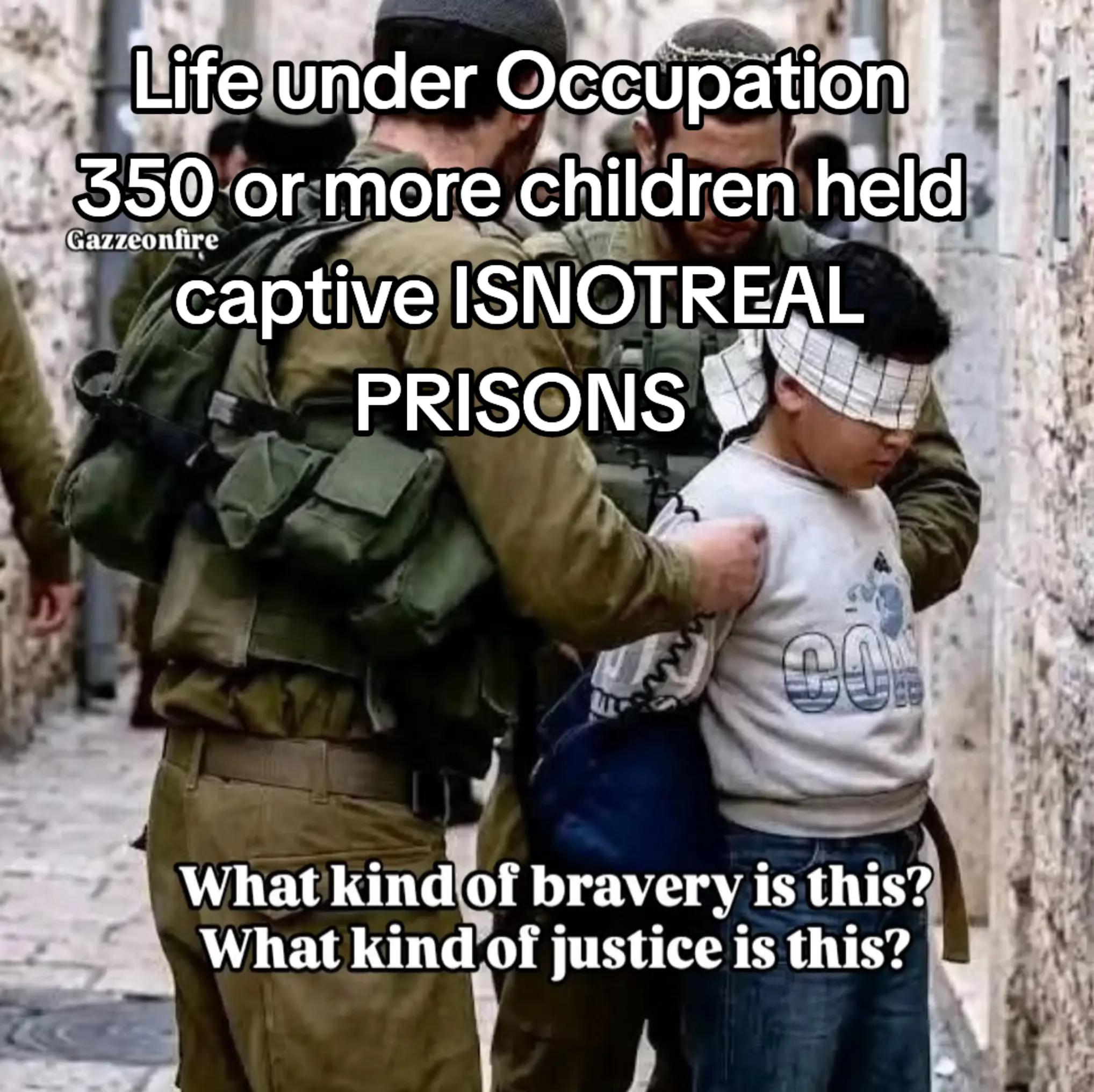 @Amina🇮🇪🇵🇸