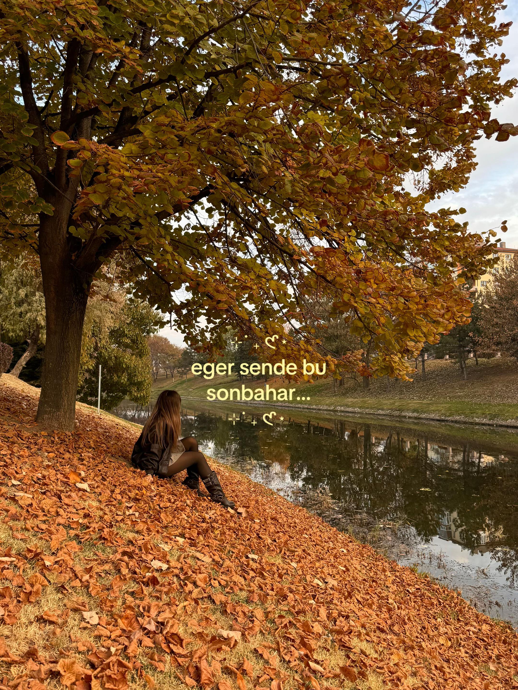 @sila⋆˙⟡