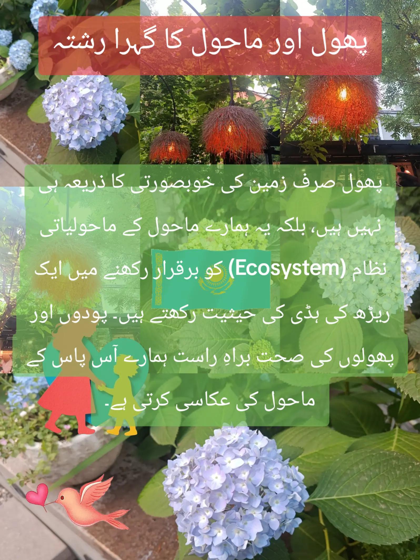 @🌟🇵🇰Gohar_e_Nayab🇵🇰🌟