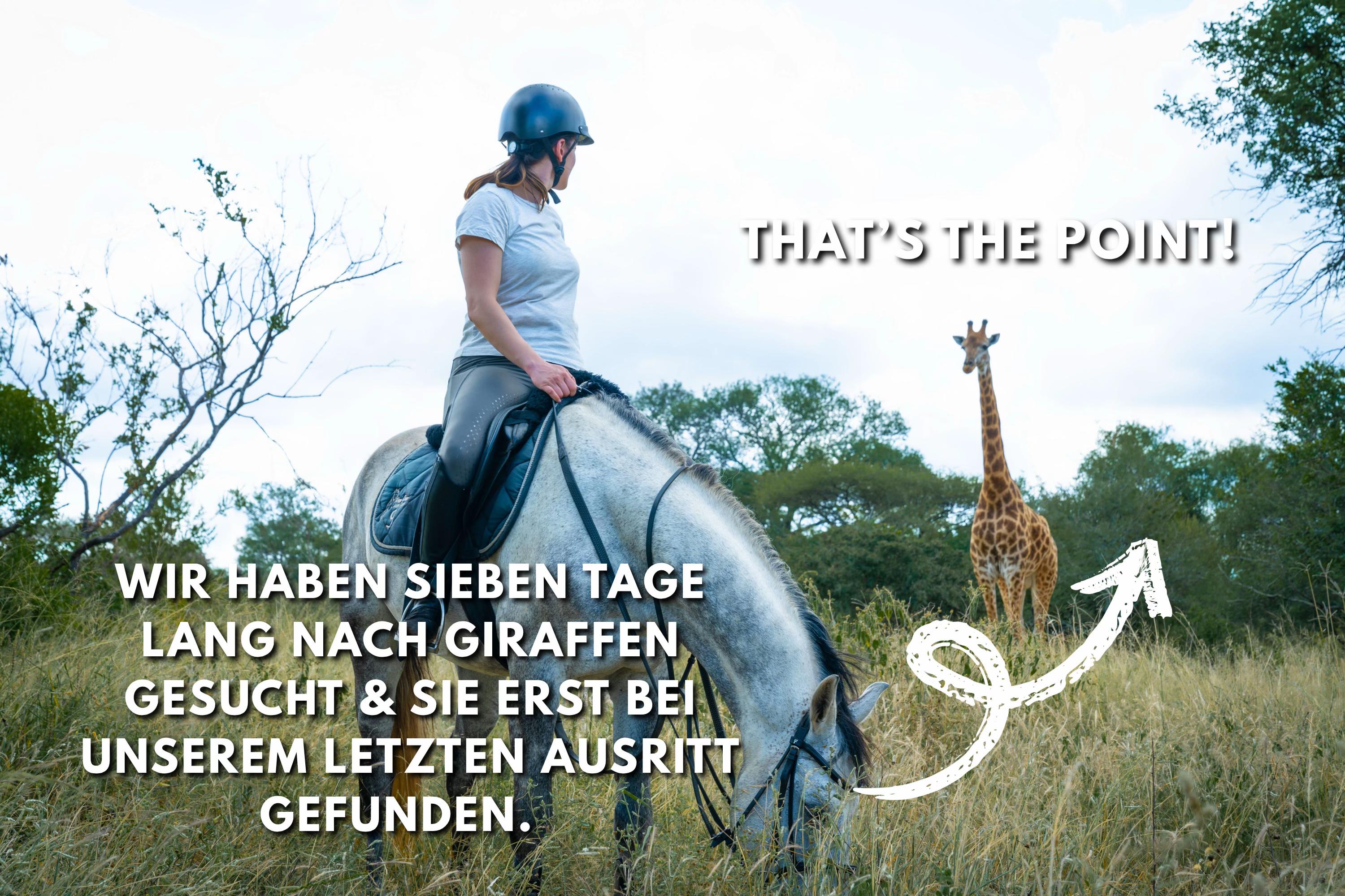 @Hoof & Travel 🐴🌍🐘