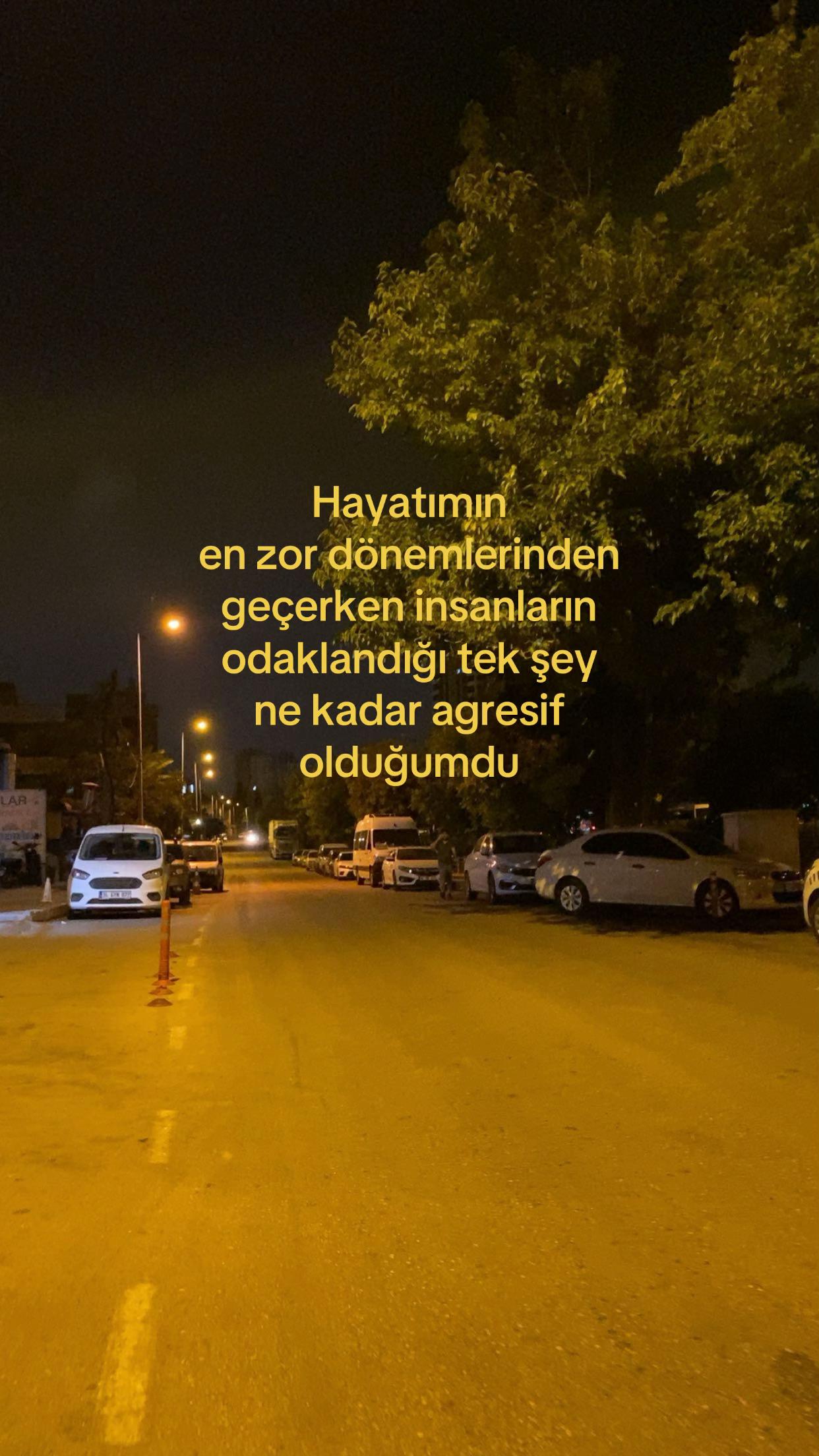 @𝐌𝐞𝐥𝐢𝐬𝐚🪬