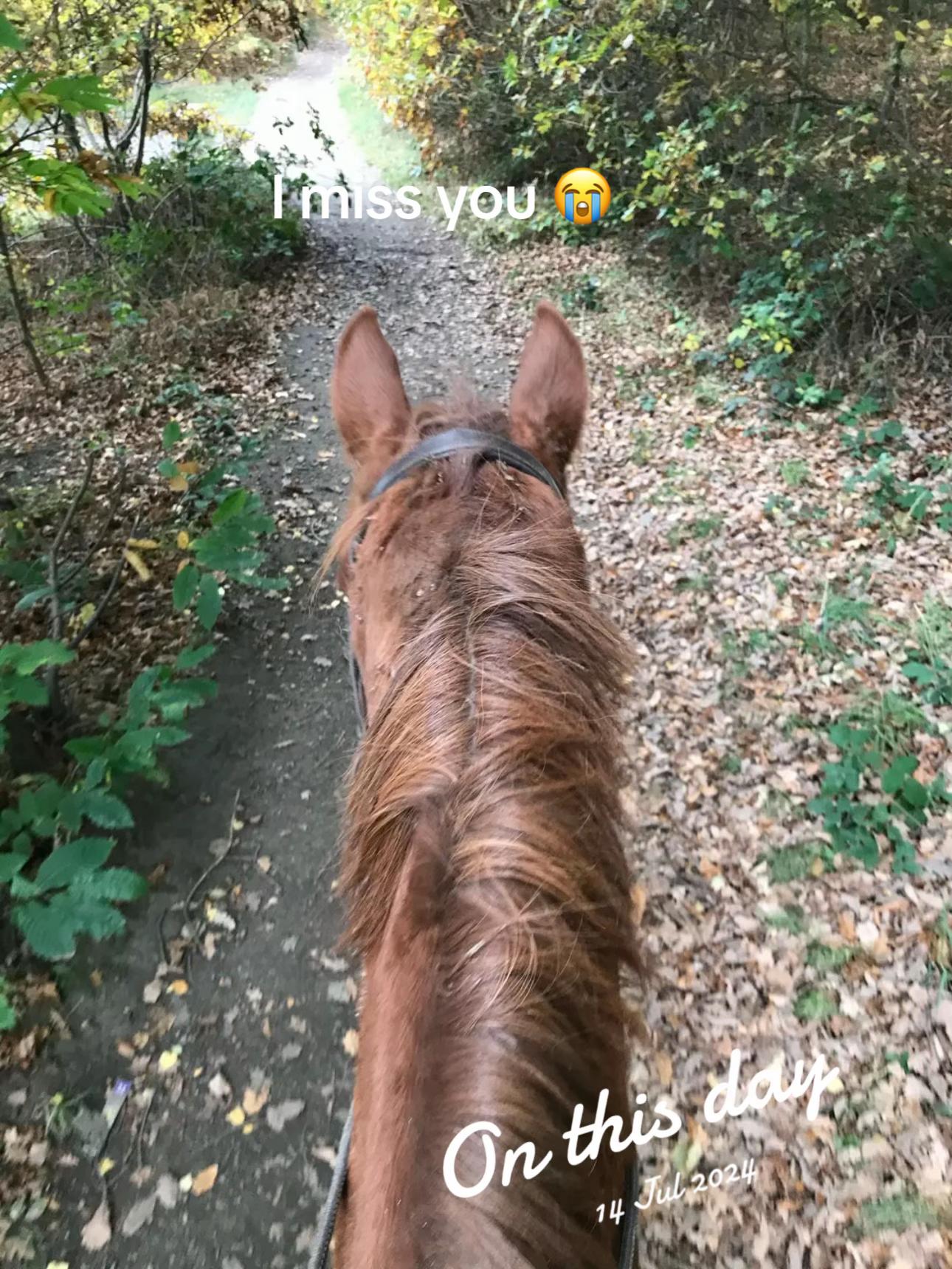 @Jessica-Rose 💖