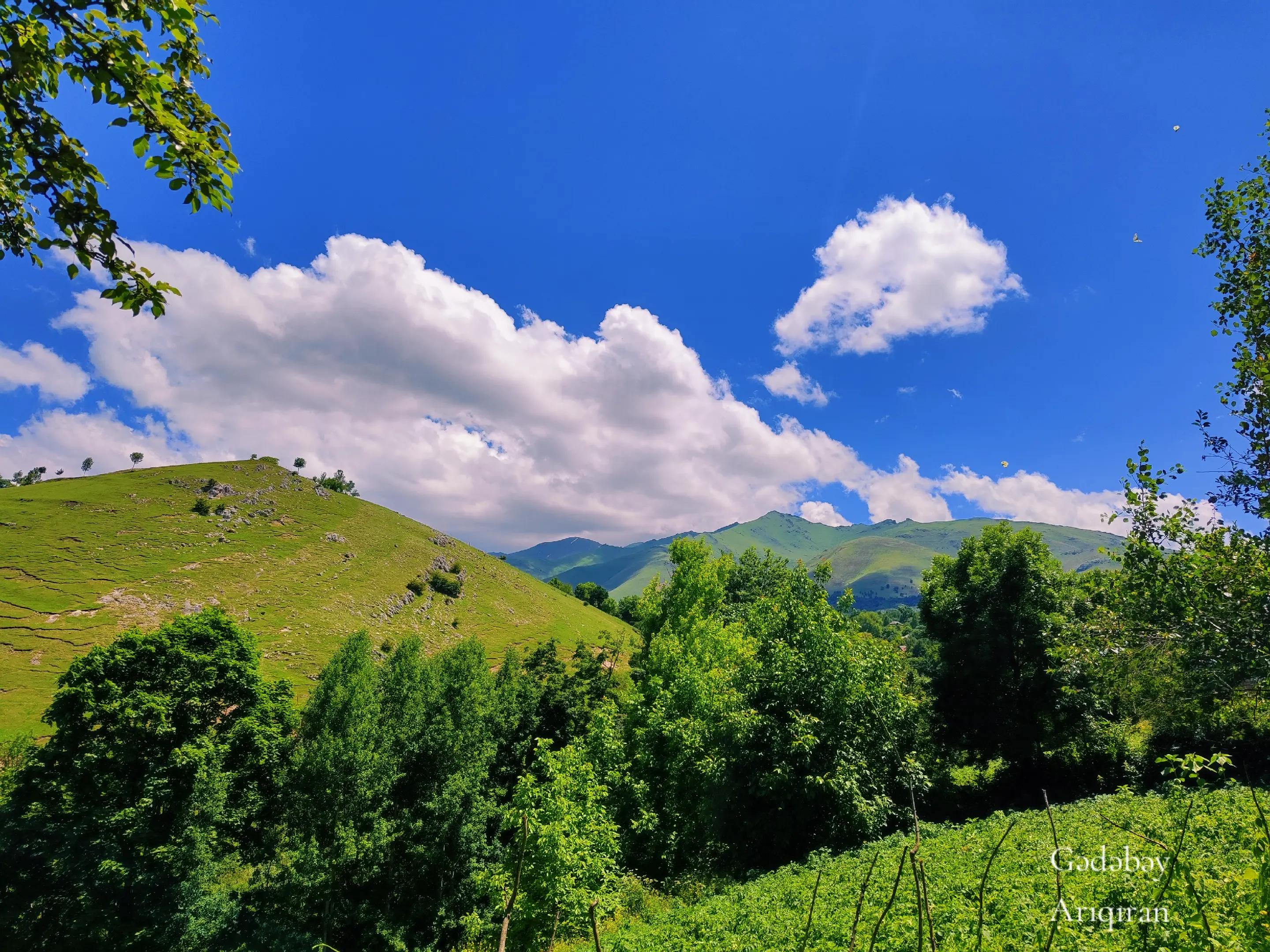 @Anar_Əliyev
