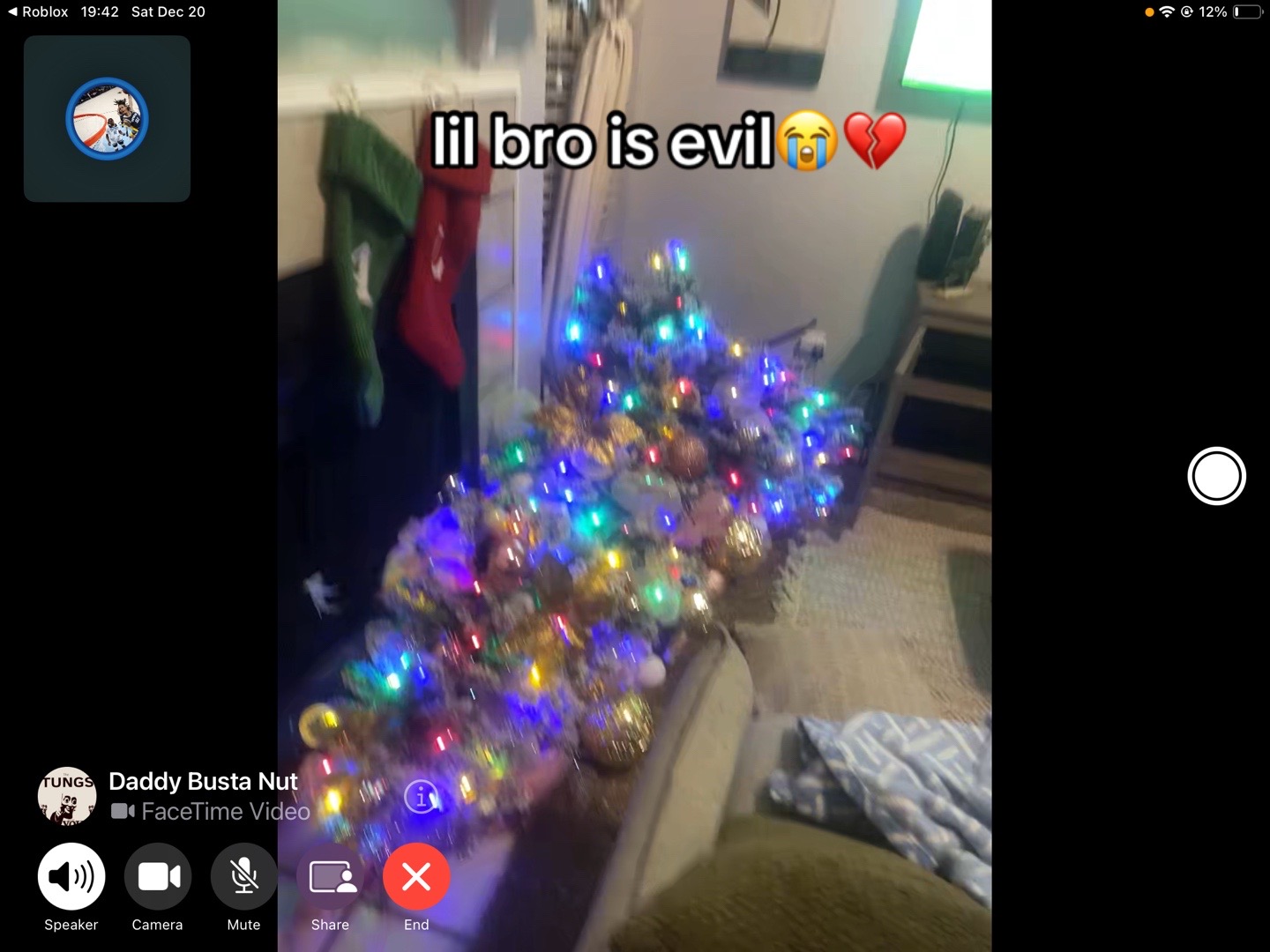 @𝒴𝒶𝓀🧇☯️