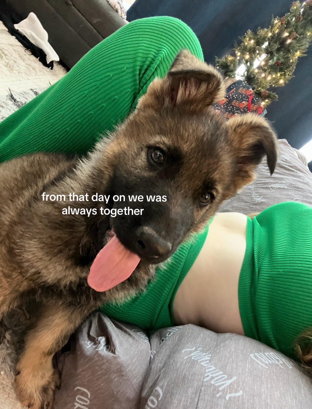 @notshawneeyy