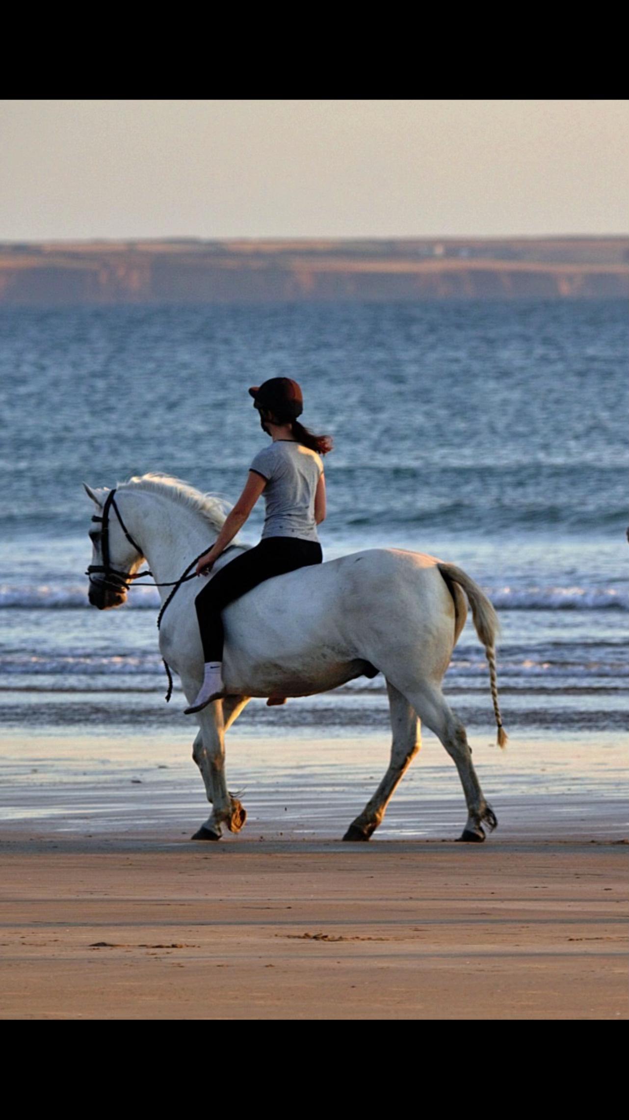 @amelia_showjumping2