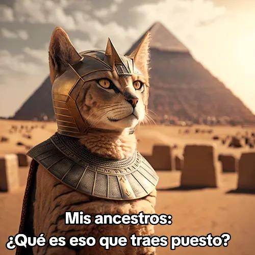 @Paulina Eguez Torres