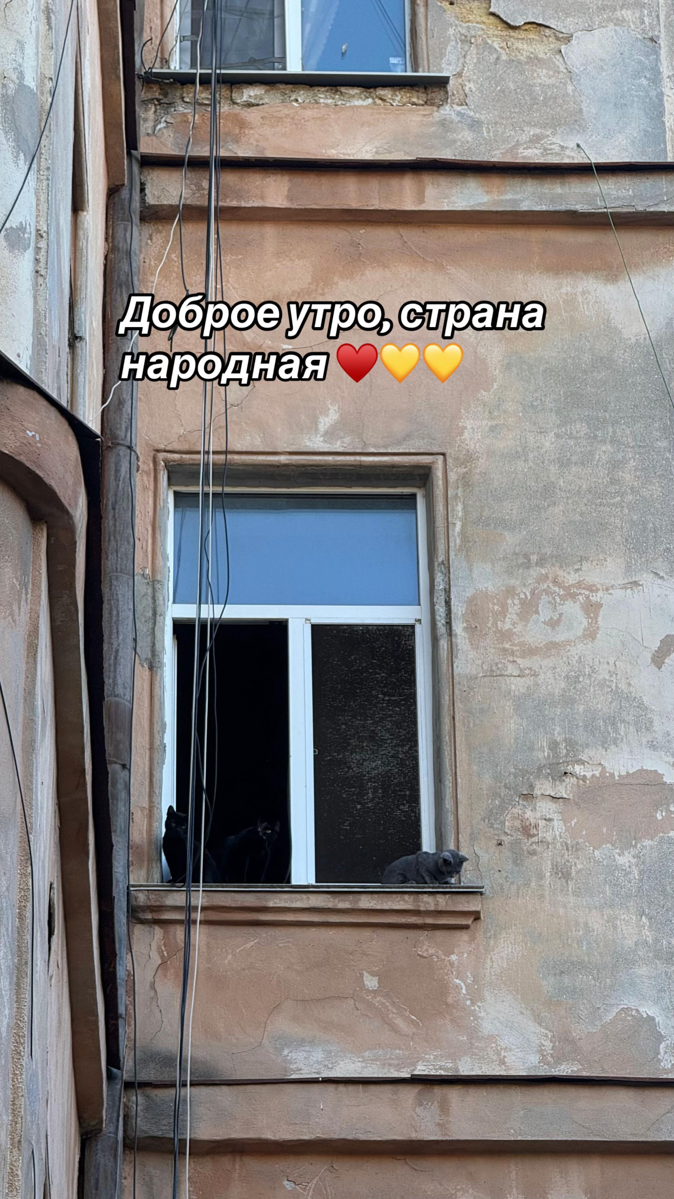 @Принцесса Молдаванки 🕊️