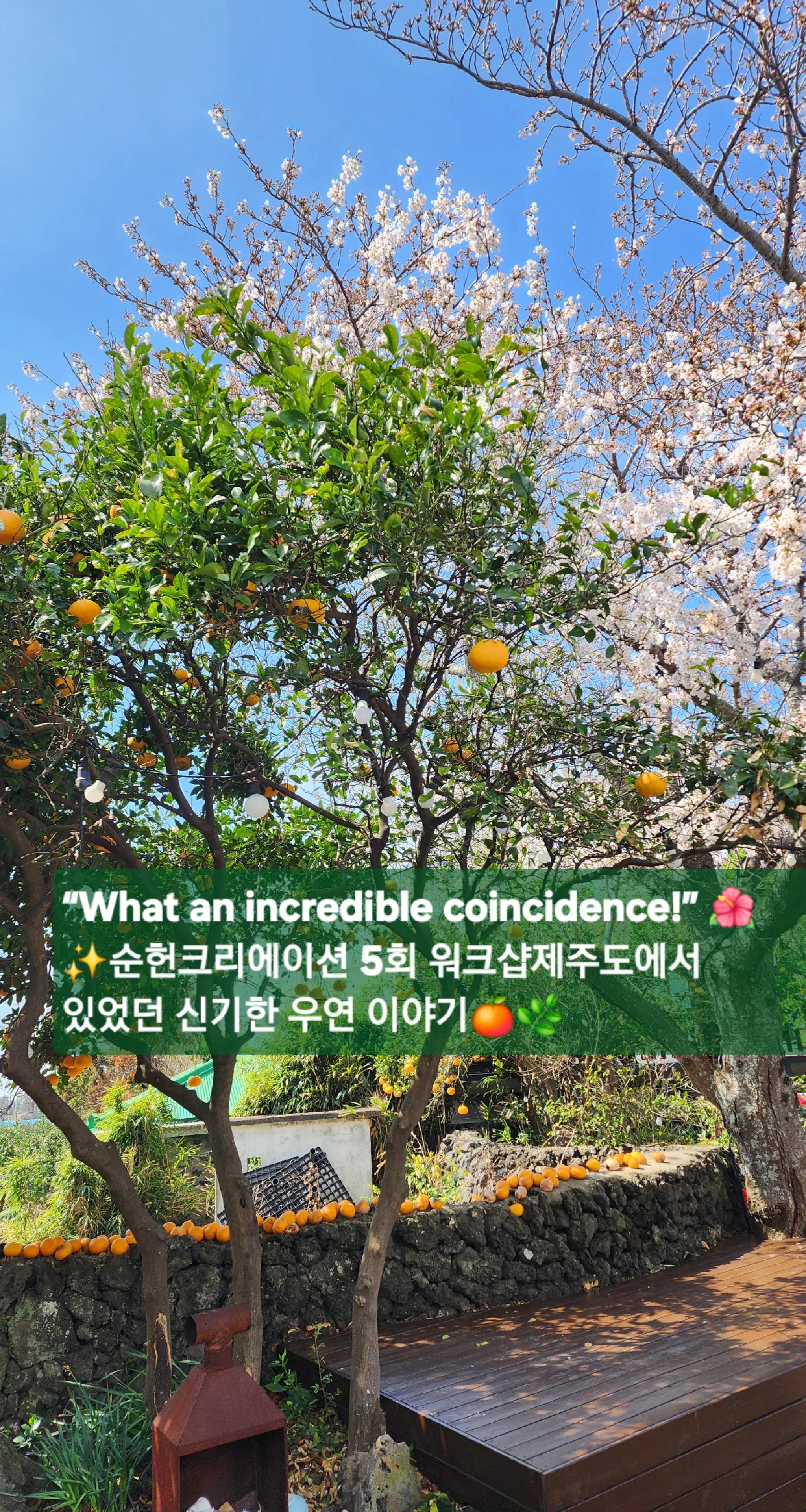 @해요HaeYo
