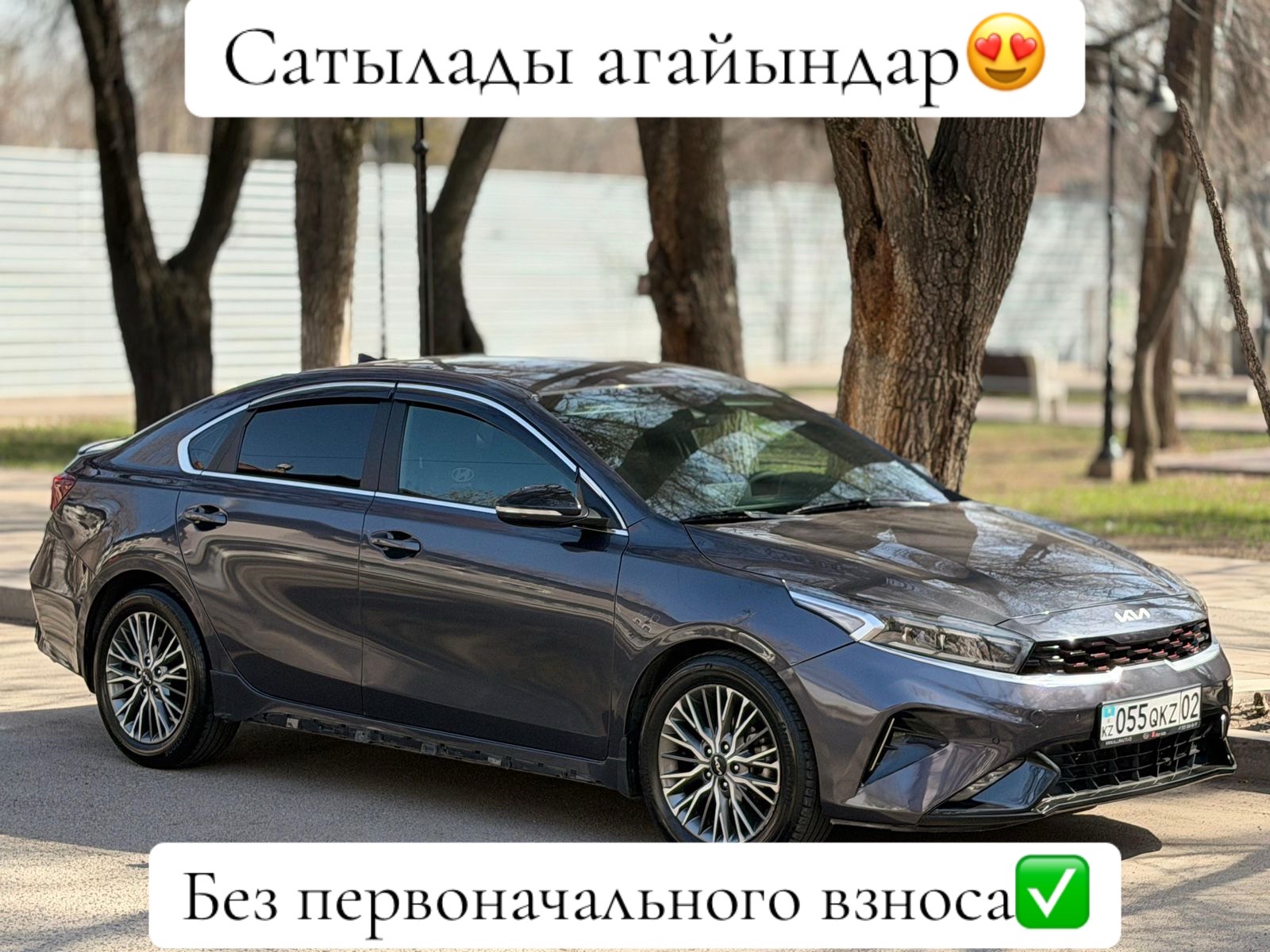 @bay_cars