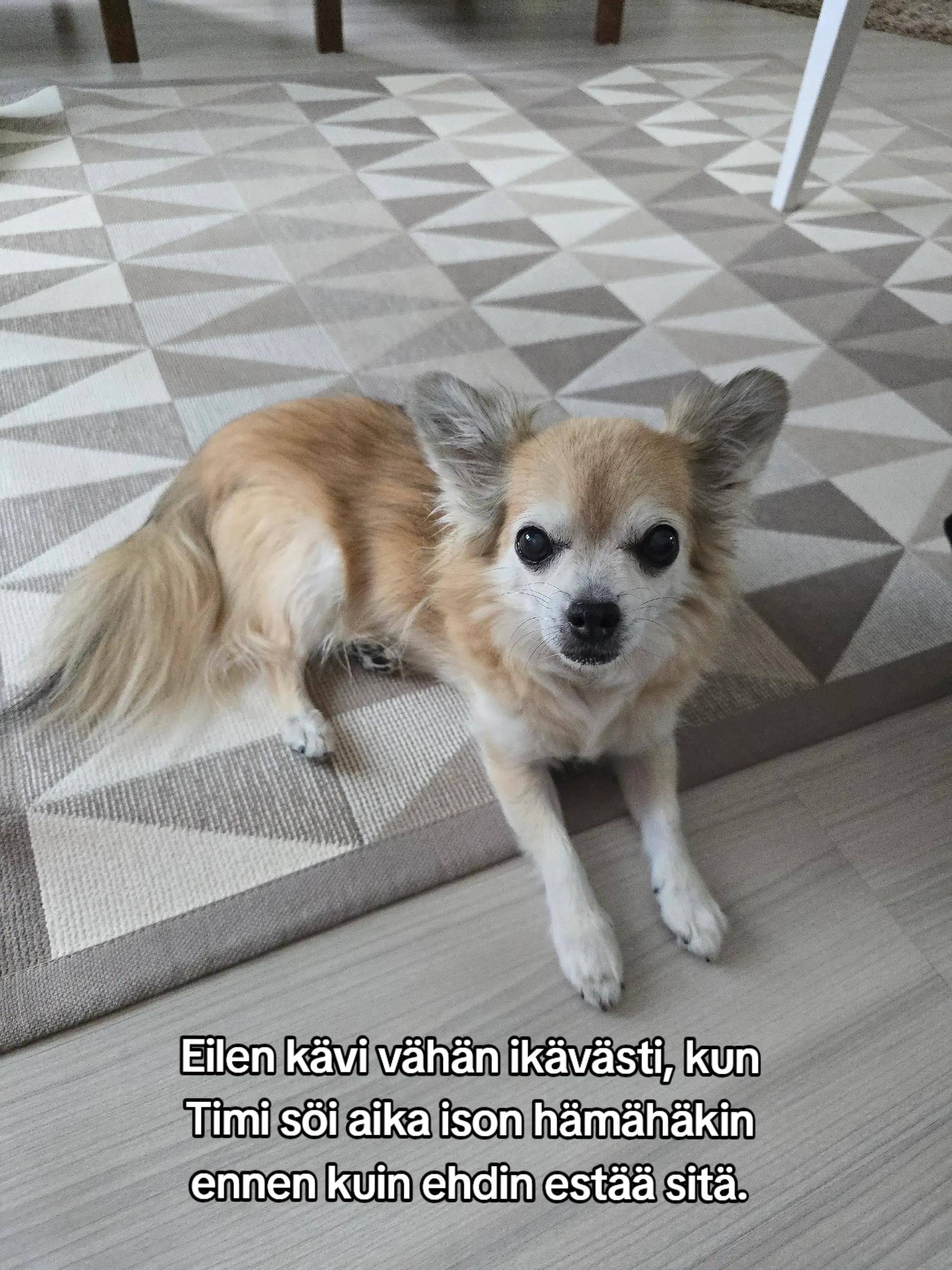 @Minna