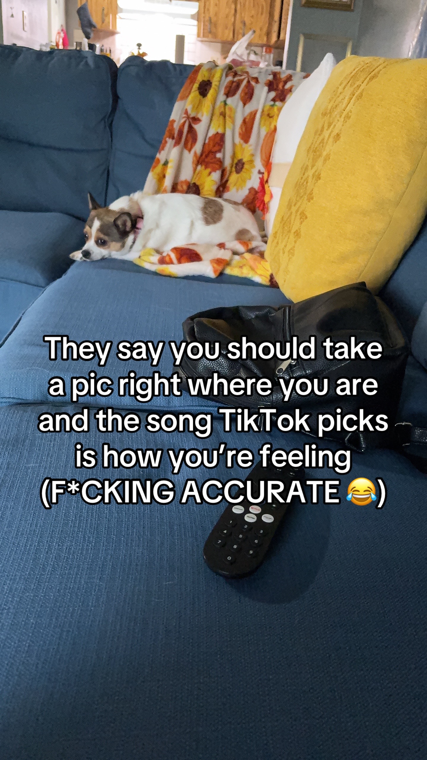 @tinyxhermit