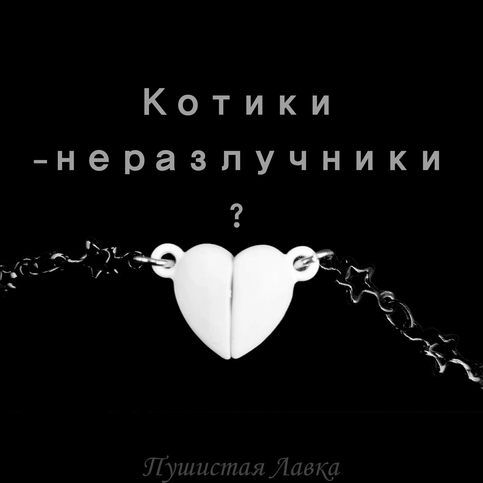 @ПУШИСТАЯ ЛАВКА