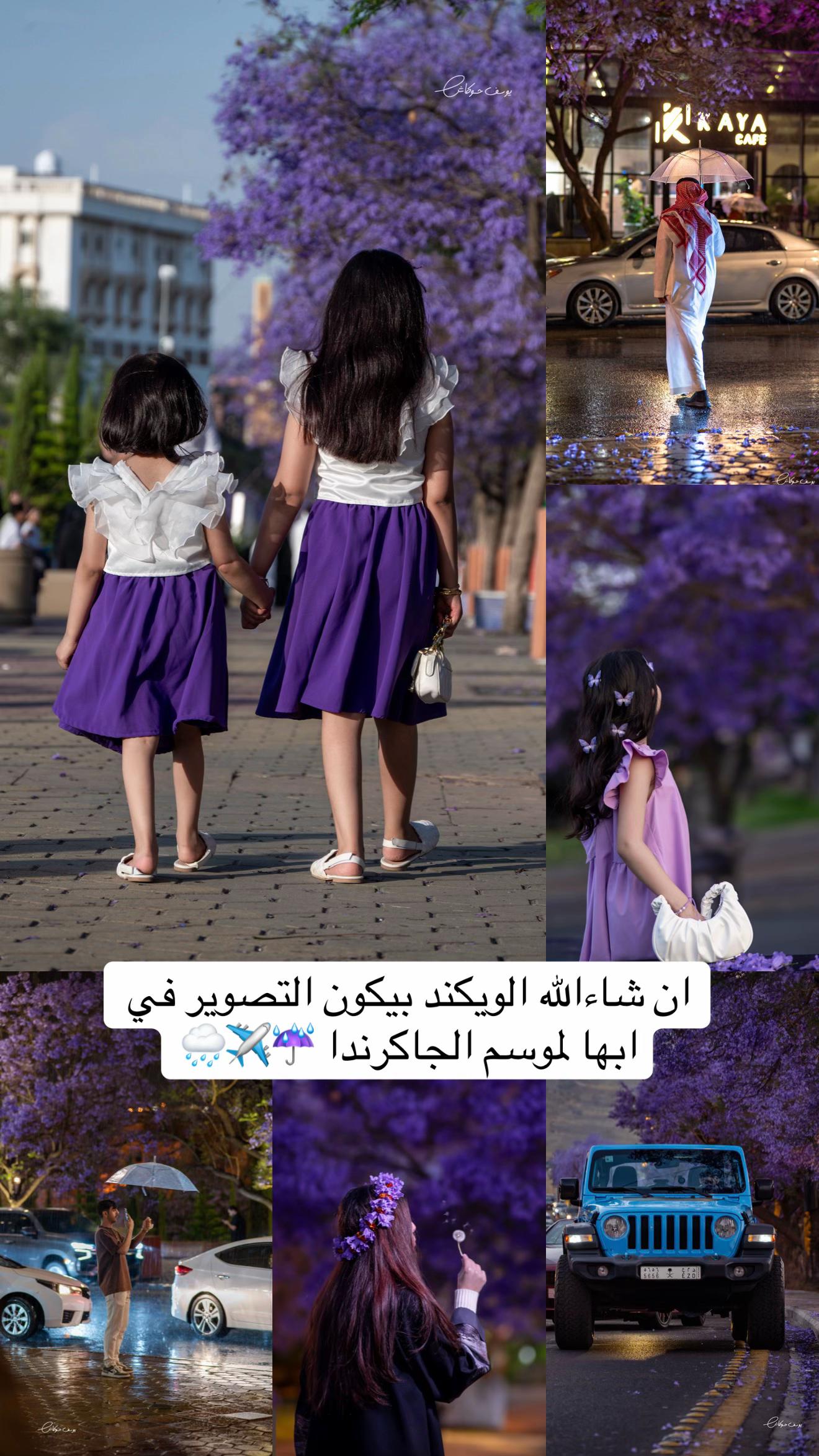 @يوسف حوكاش