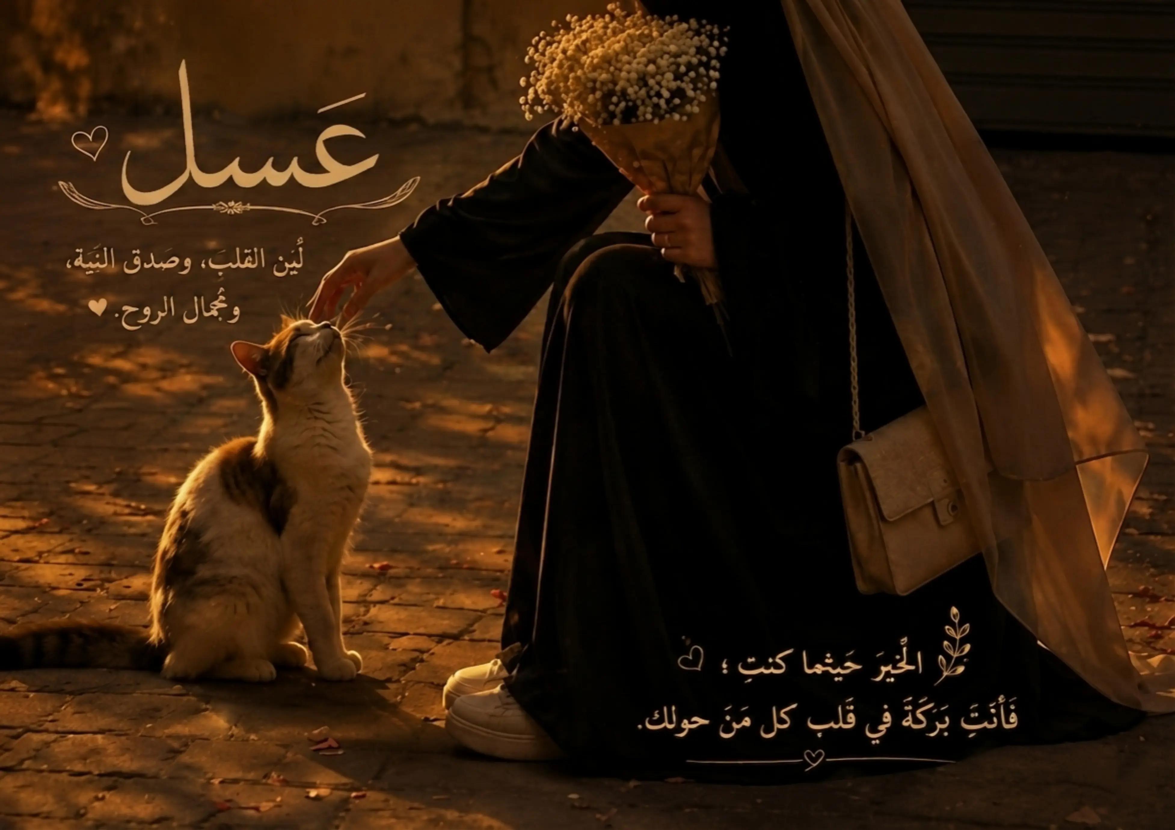 @⌯ أثـر ؏ــائــشــة ୨୧ | 🤍🌷