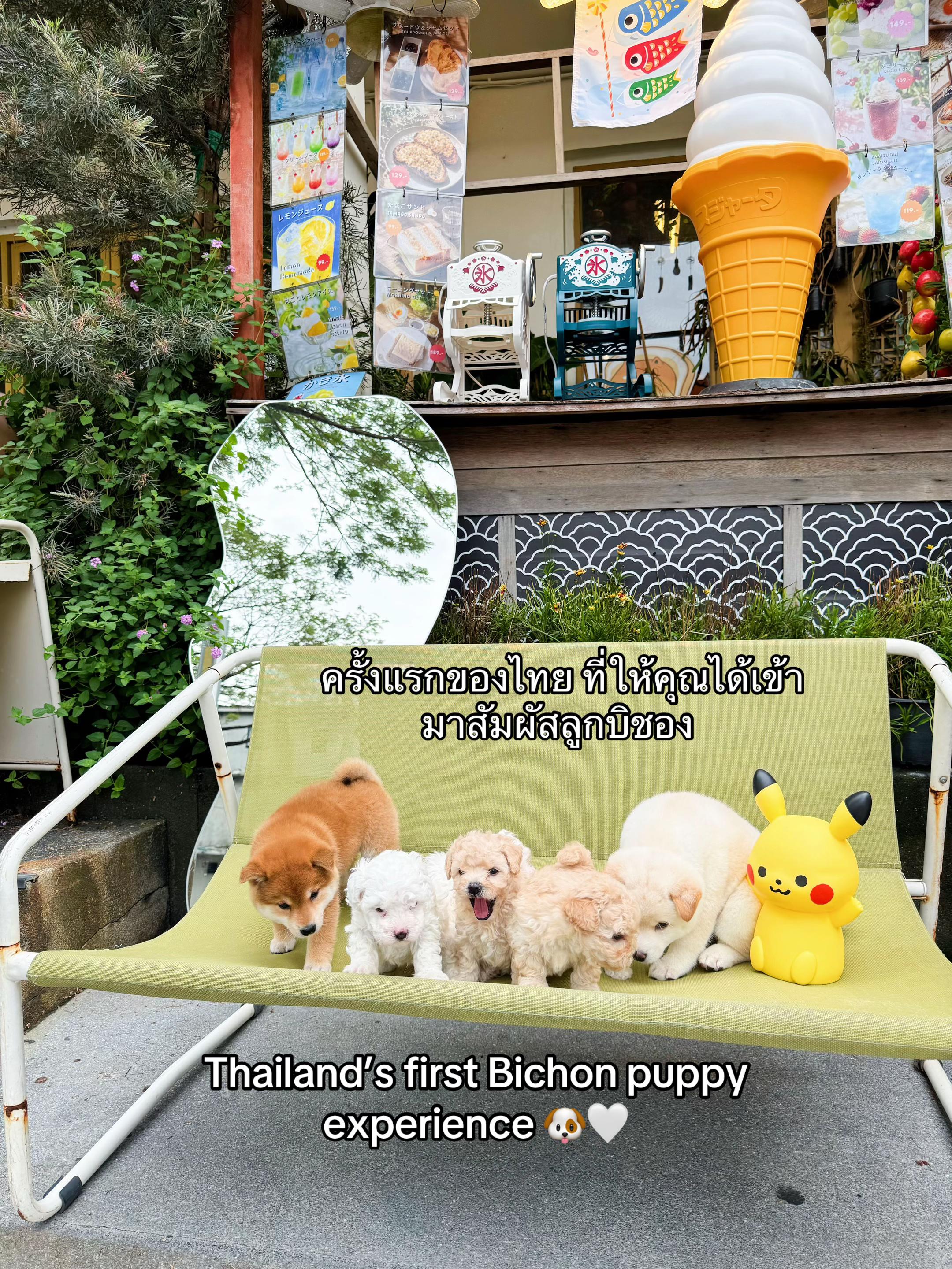 @Shibainu Story
