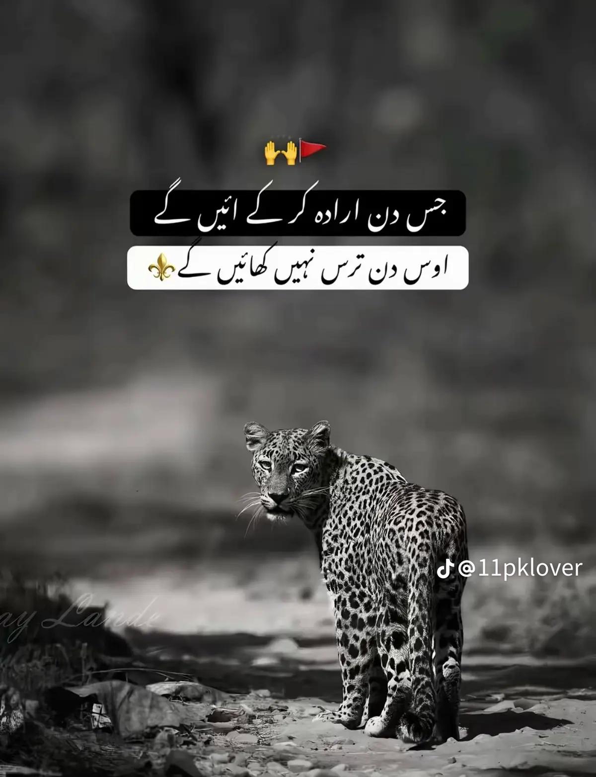 @⚜️ چوہدری ⚜️☠️