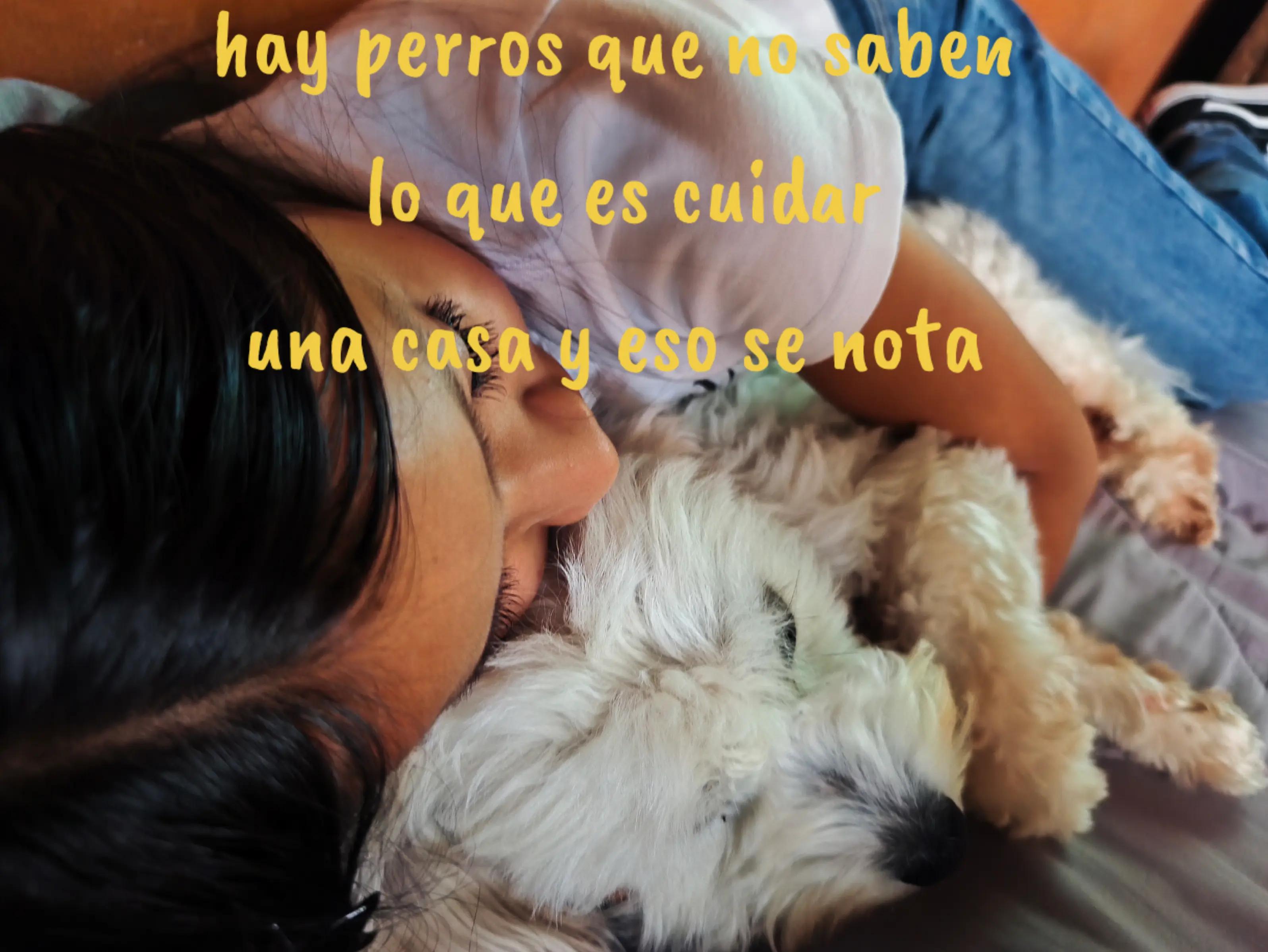 @KeniaRuth 🤗🍀🌹