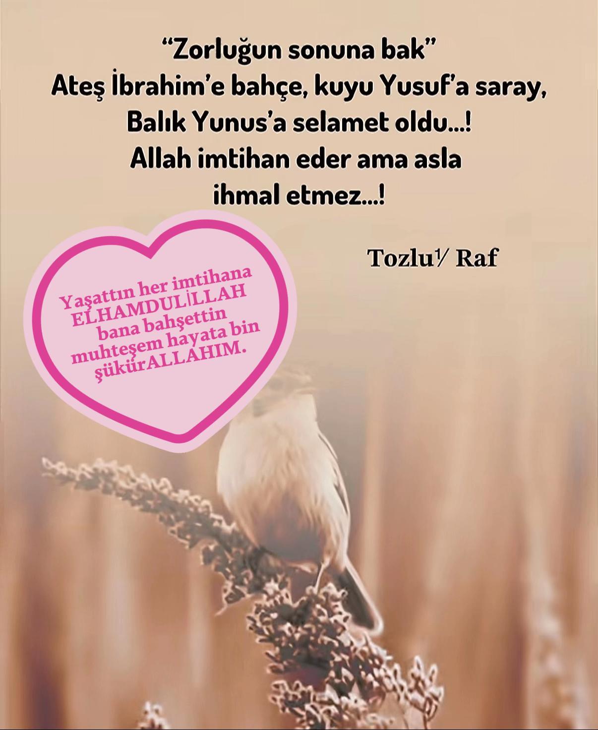 @Yasemin🇹🇷🇹🇷🇹🇷61