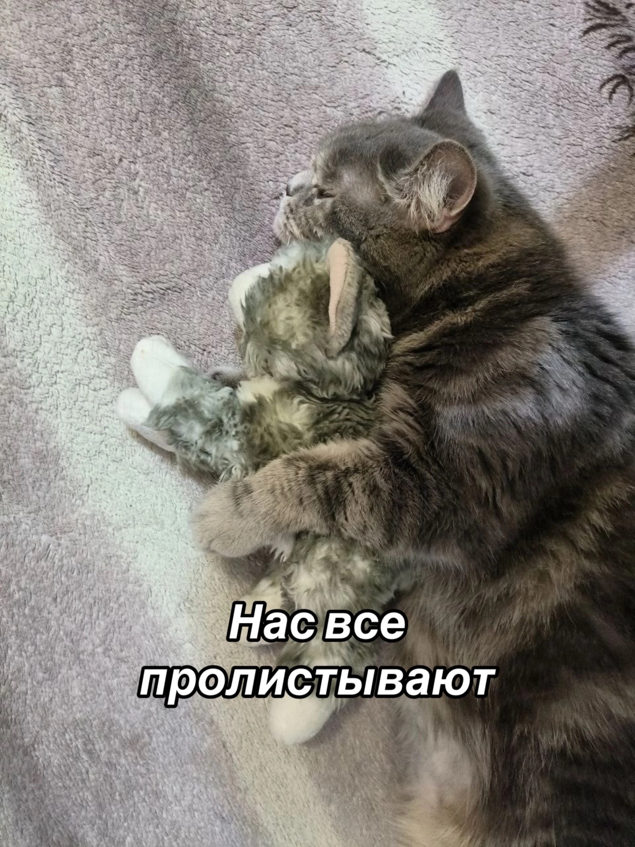 @Приют Потеряшка
