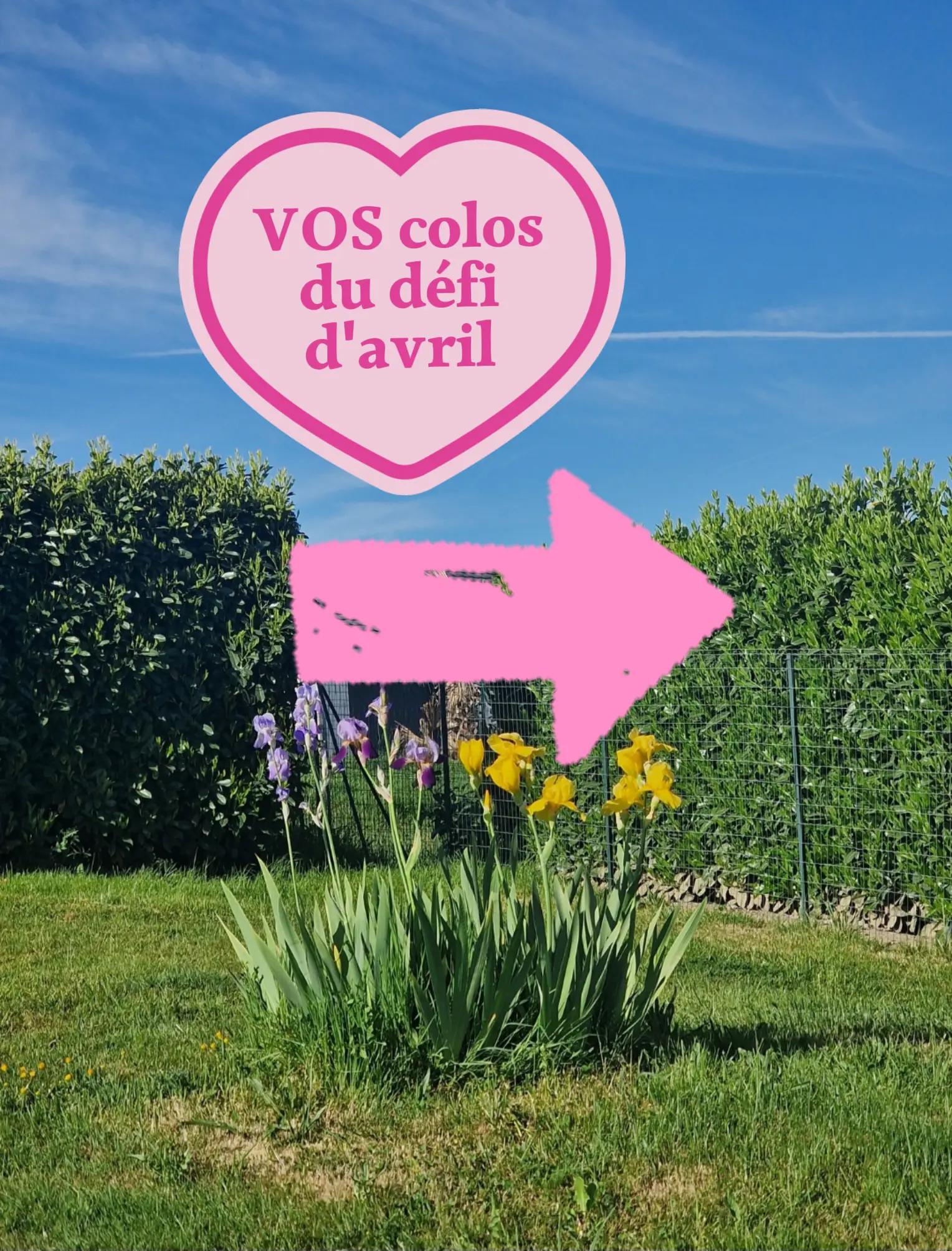 @LescolosdeSandra 🖍