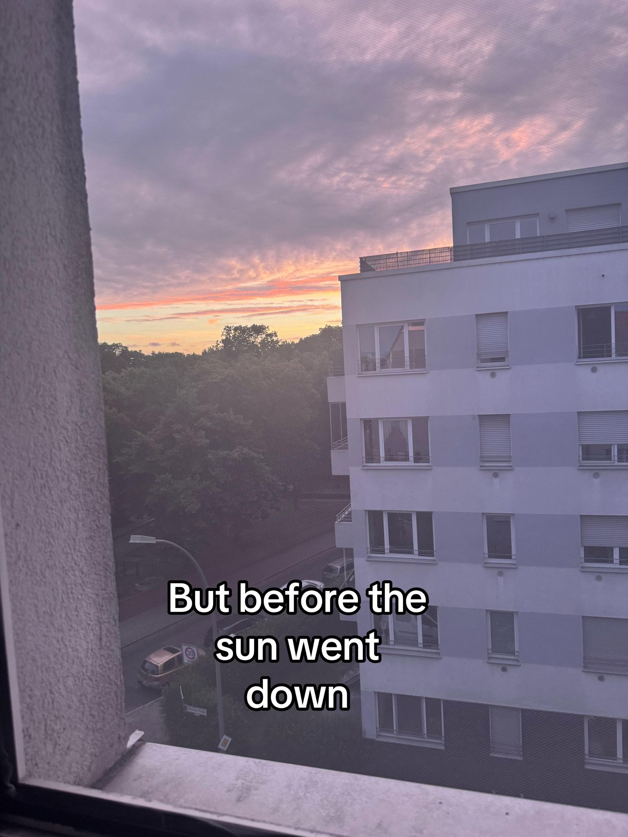 @🕸️
