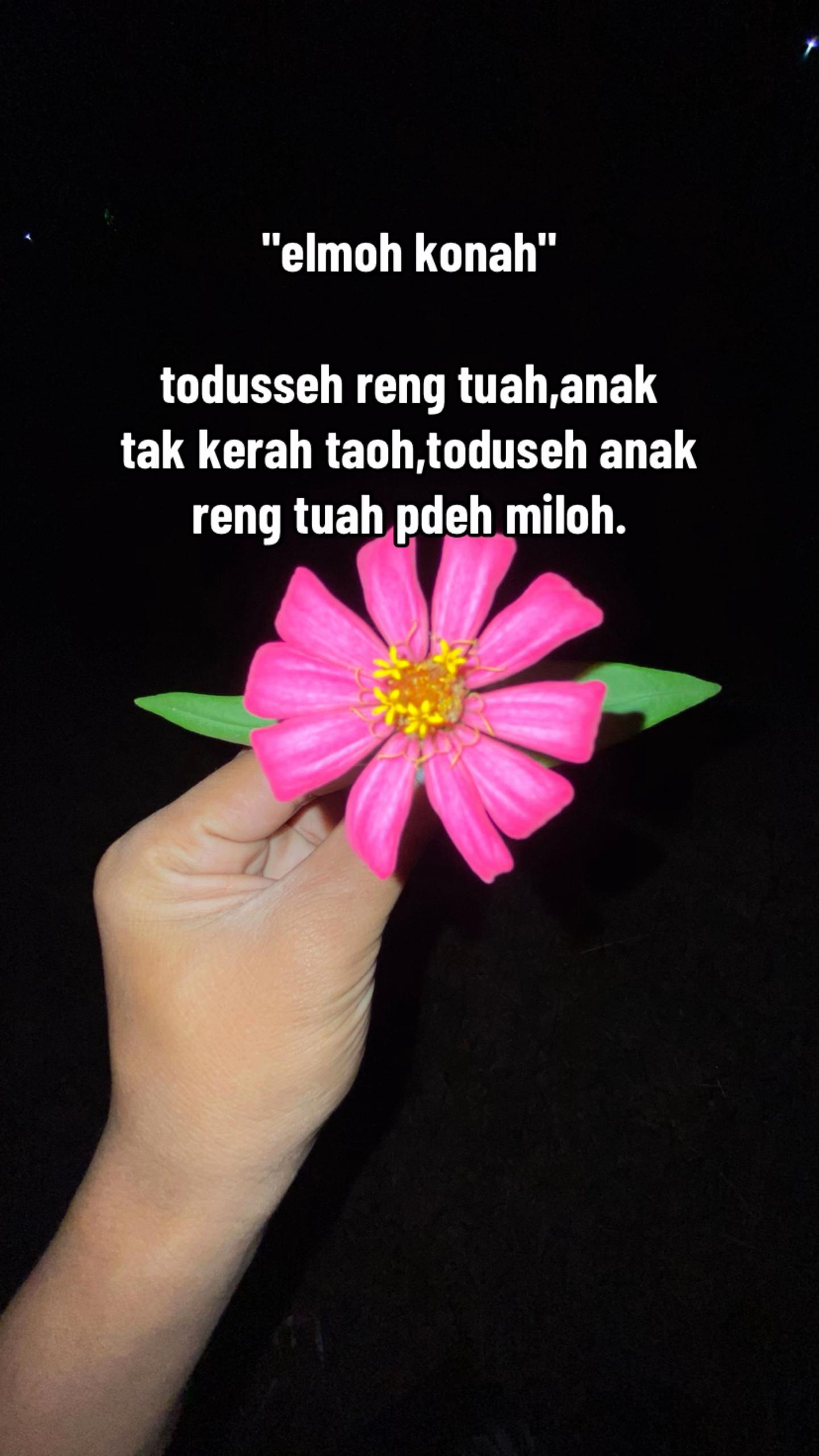@BOBBY🍃