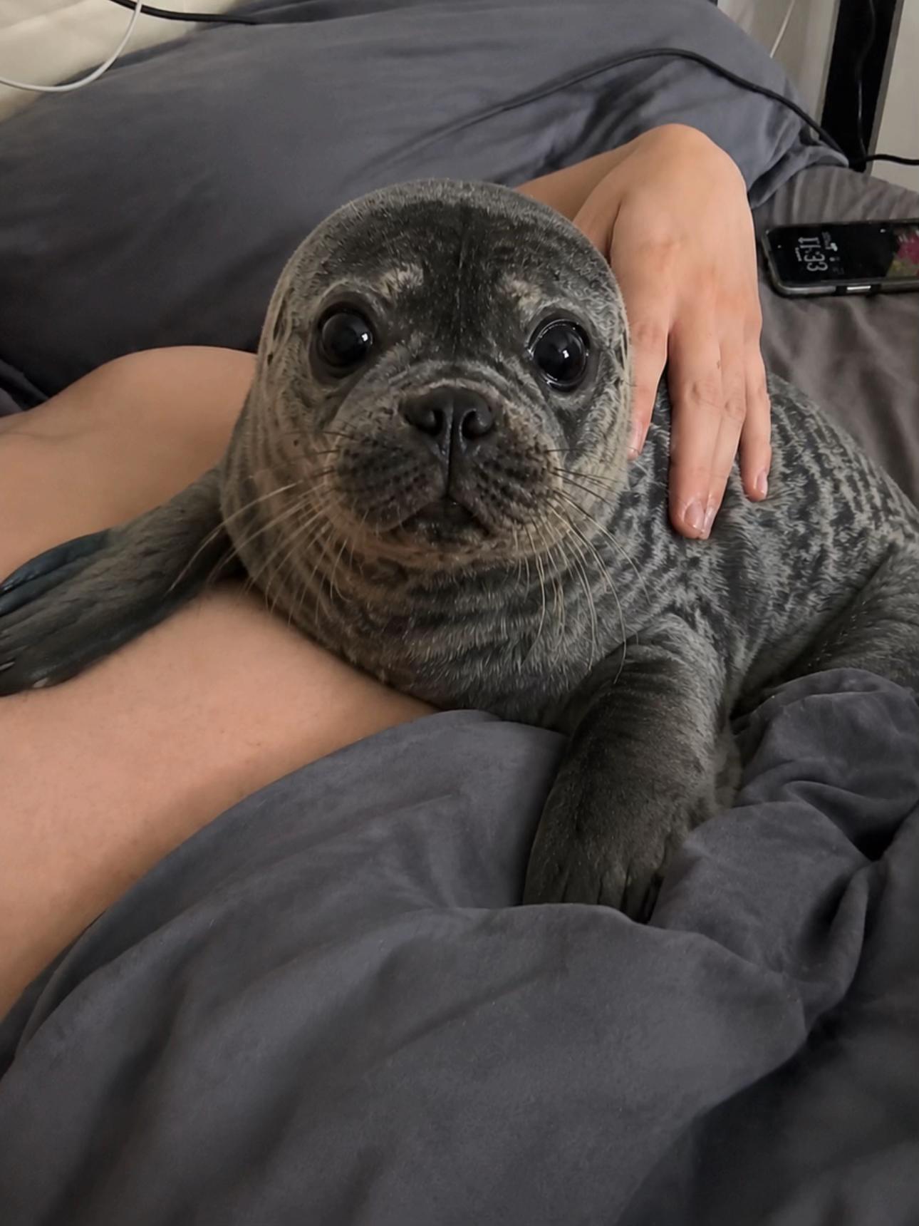 @rookusmonkey1
