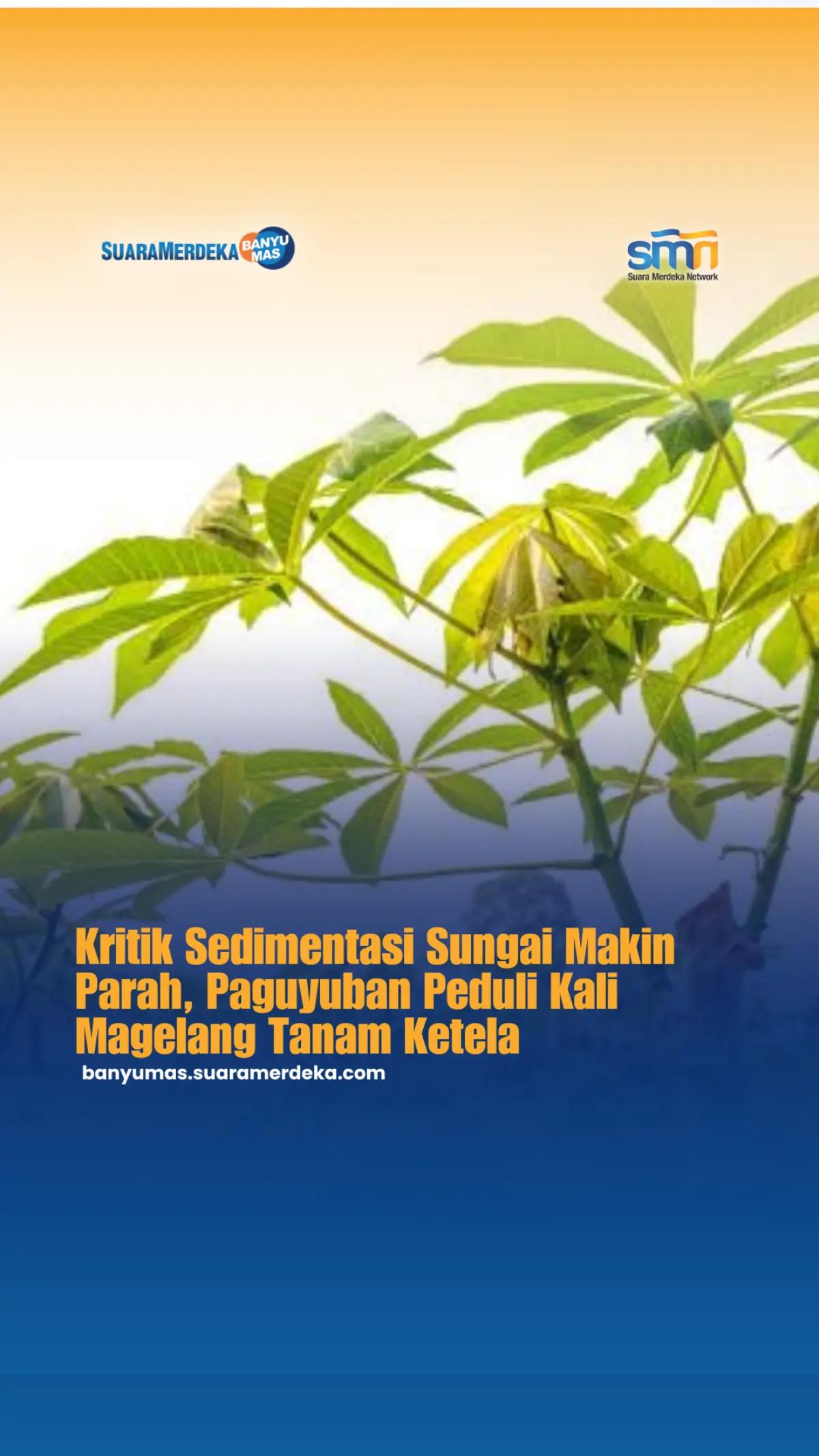 @Suara Merdeka