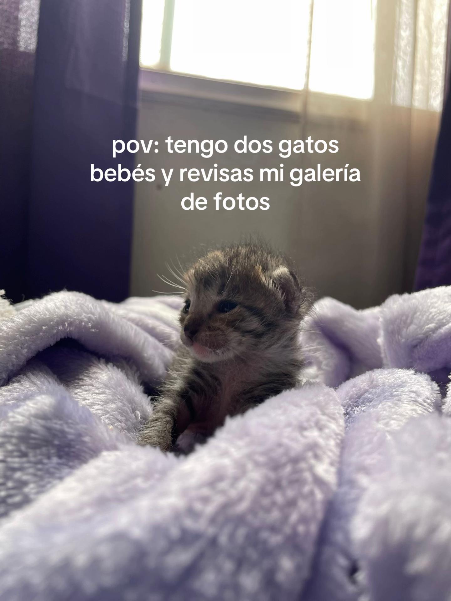 @Rayito y negrita