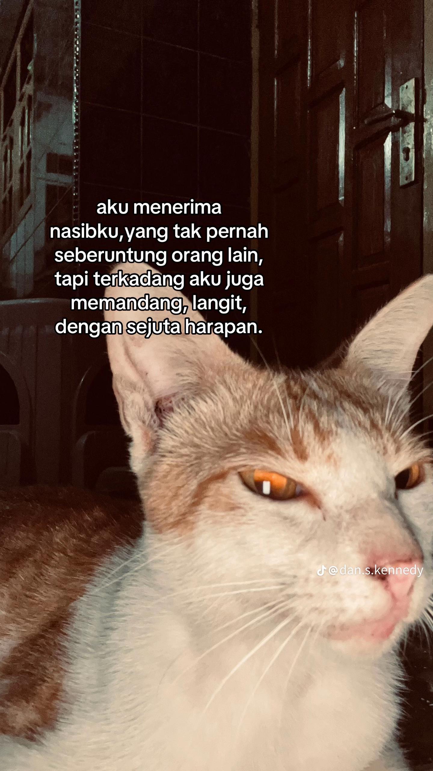 @nhadina31