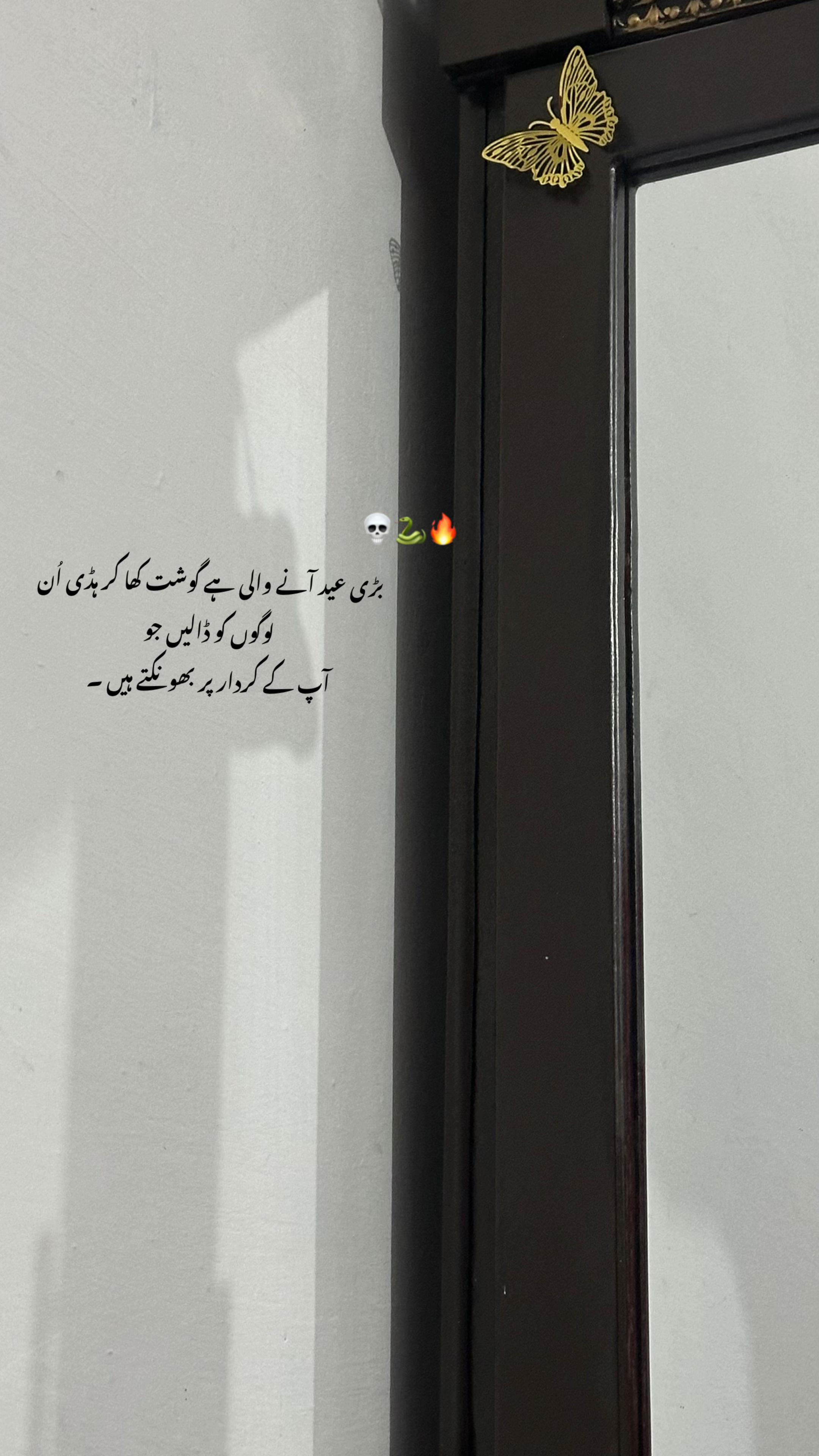 @صاحِبہ 🖤